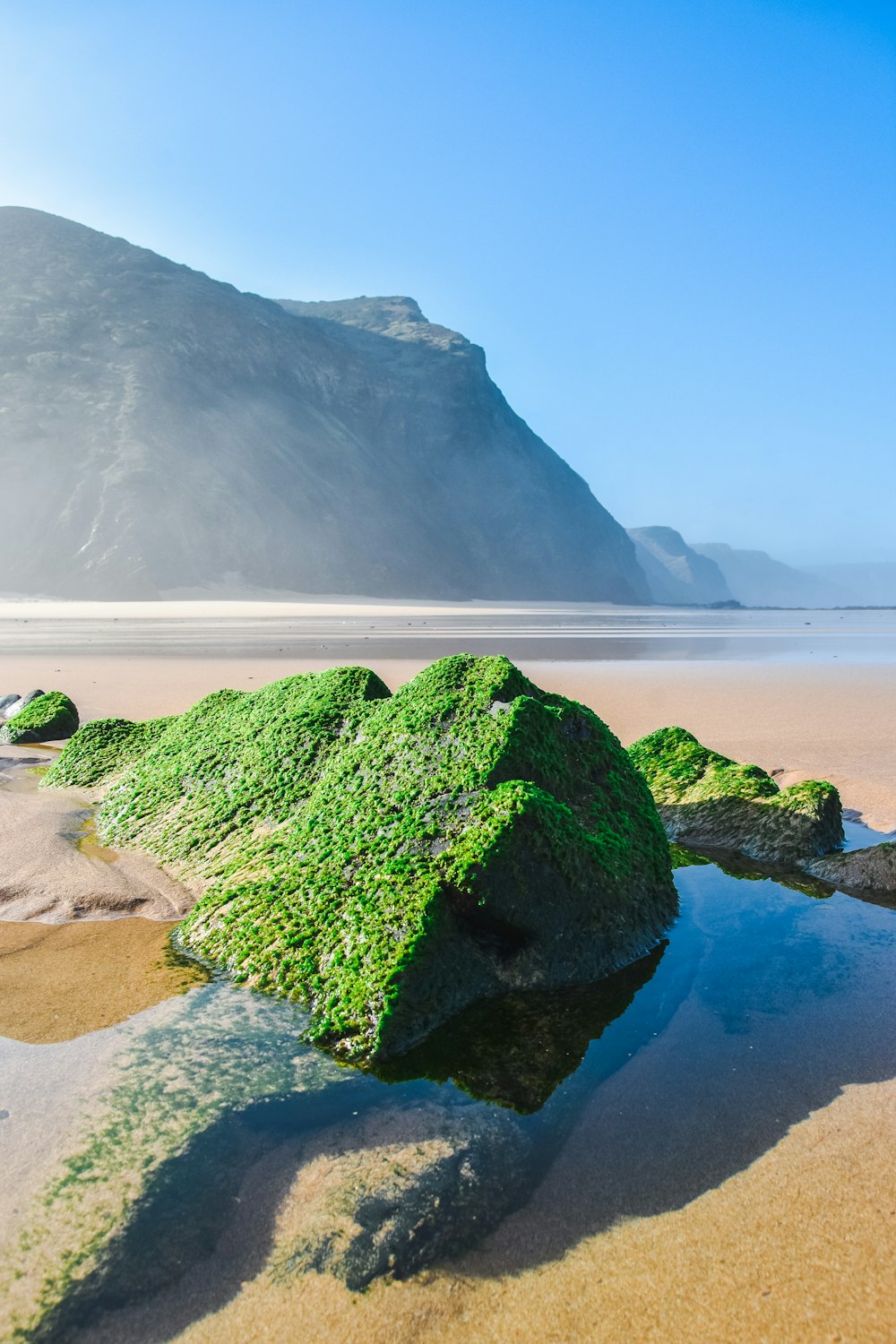 a rock covered in green algae on a beach