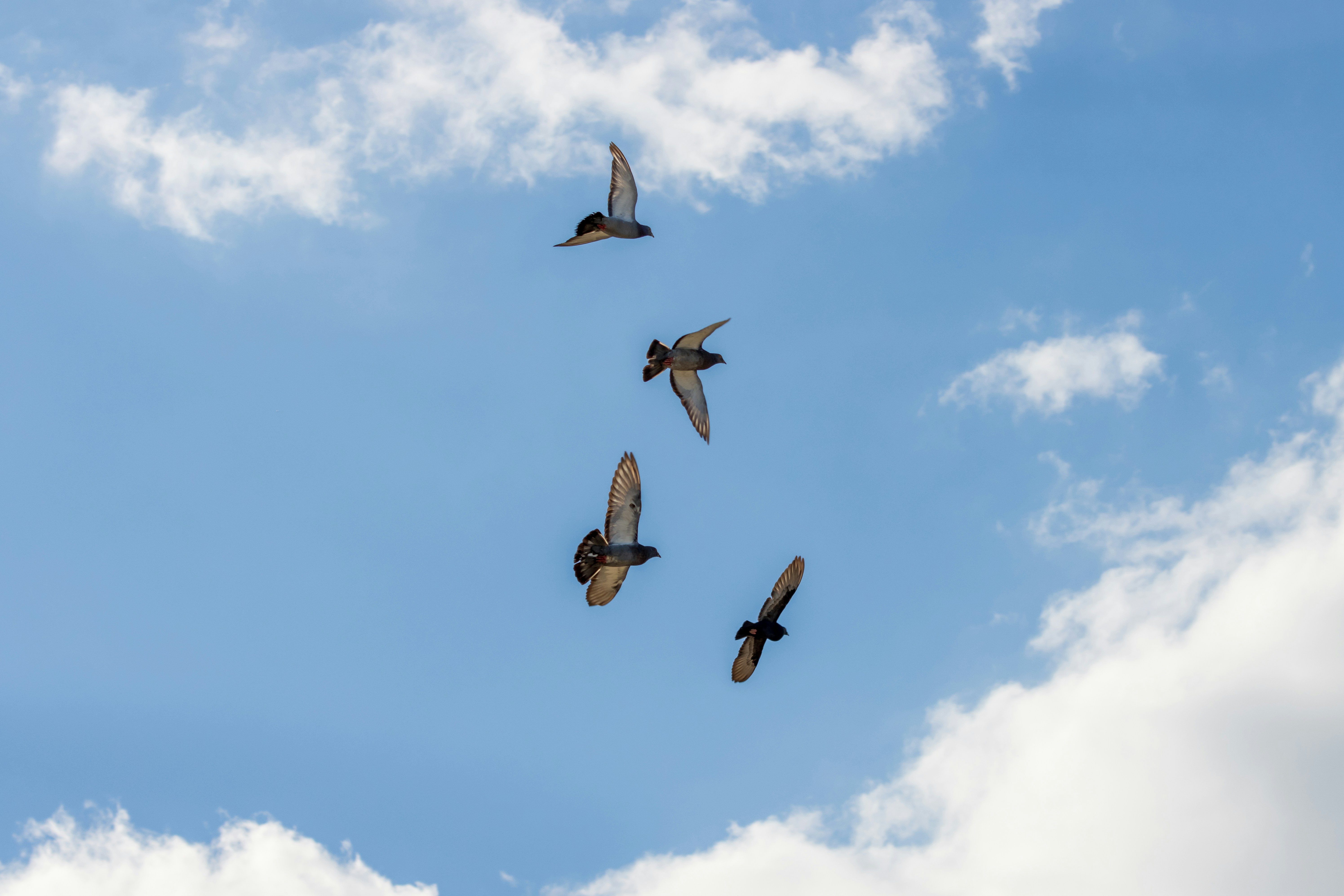 Photo by mechaowlstudios