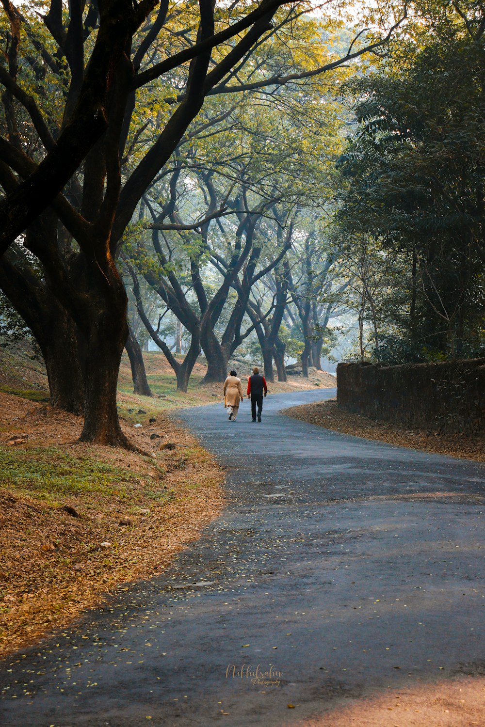 two people walking down a tree lined road