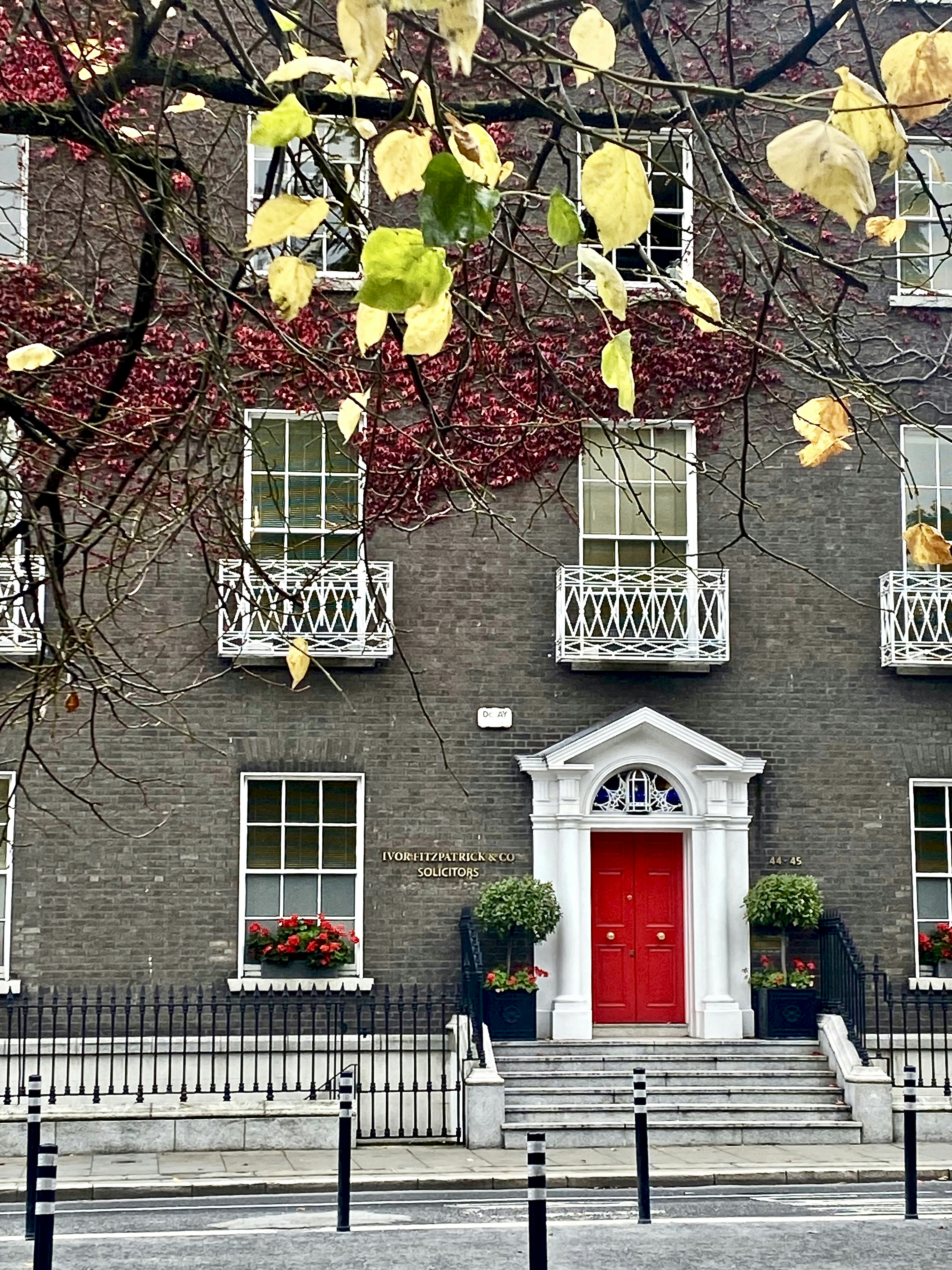 Photo by hanne97500338