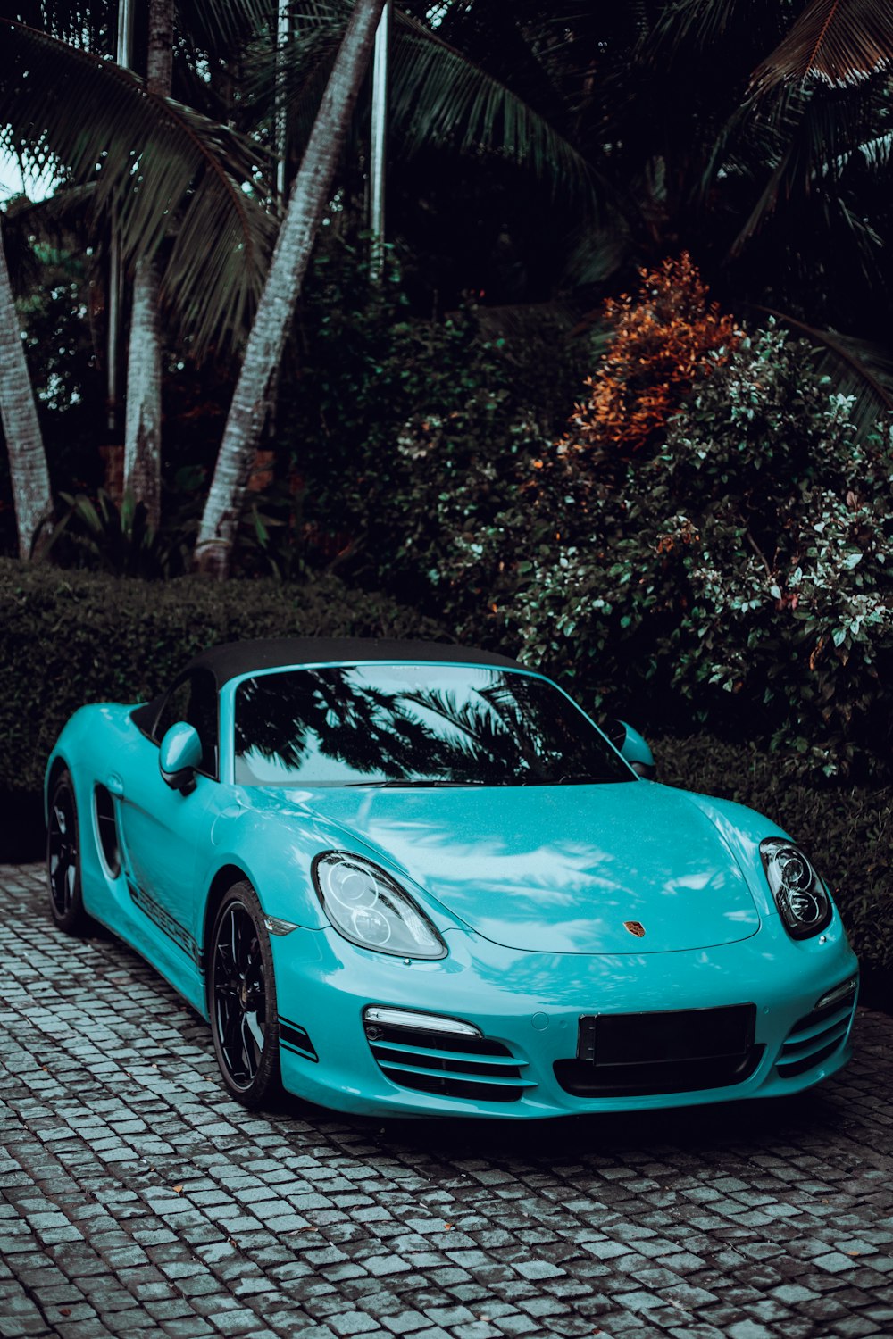 a blue sports car parked in front of a palm tree