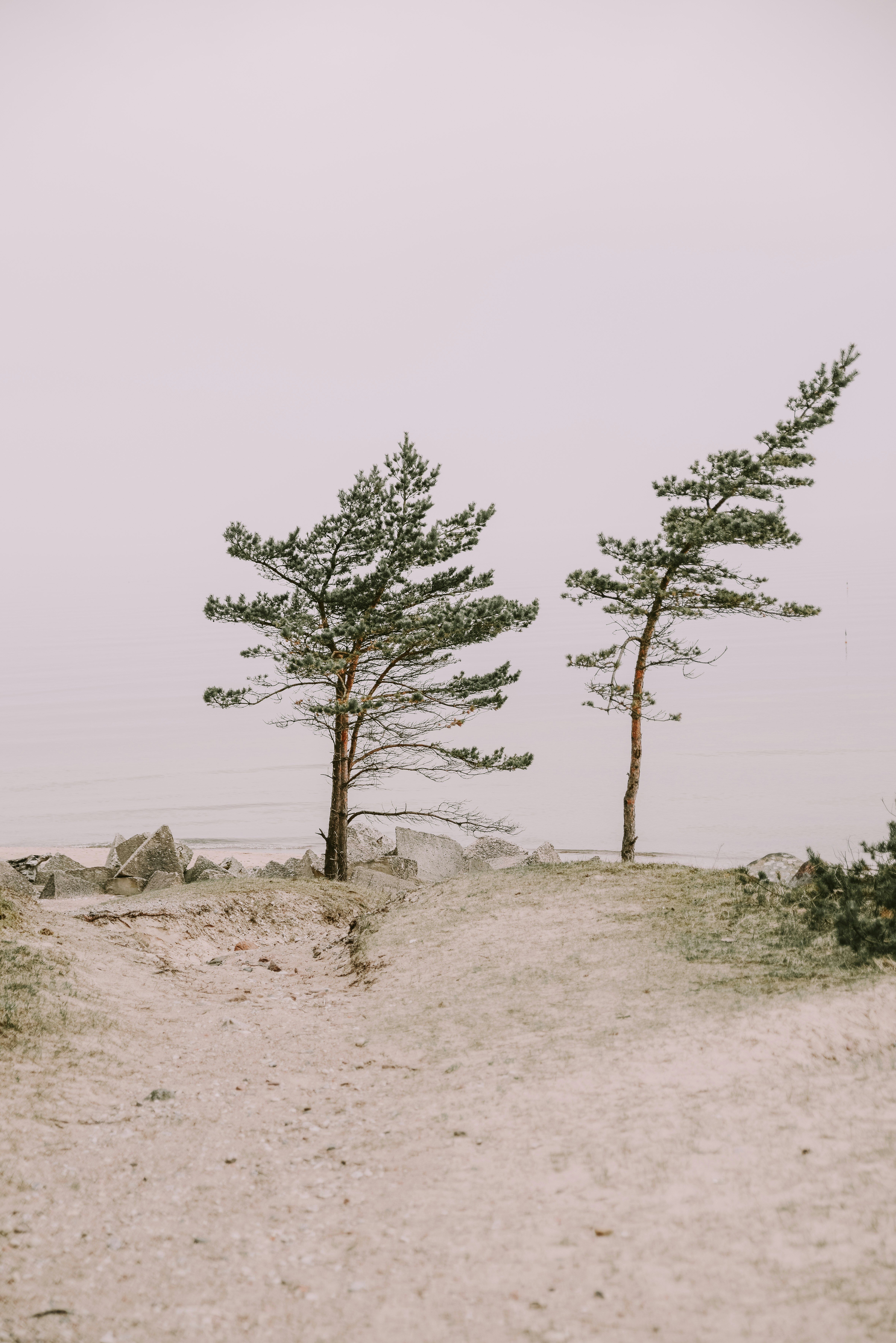 Photo by anitaaustvika