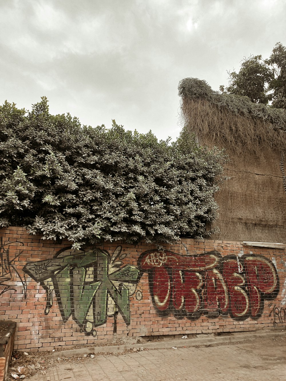 a brick wall covered in graffiti next to a tree