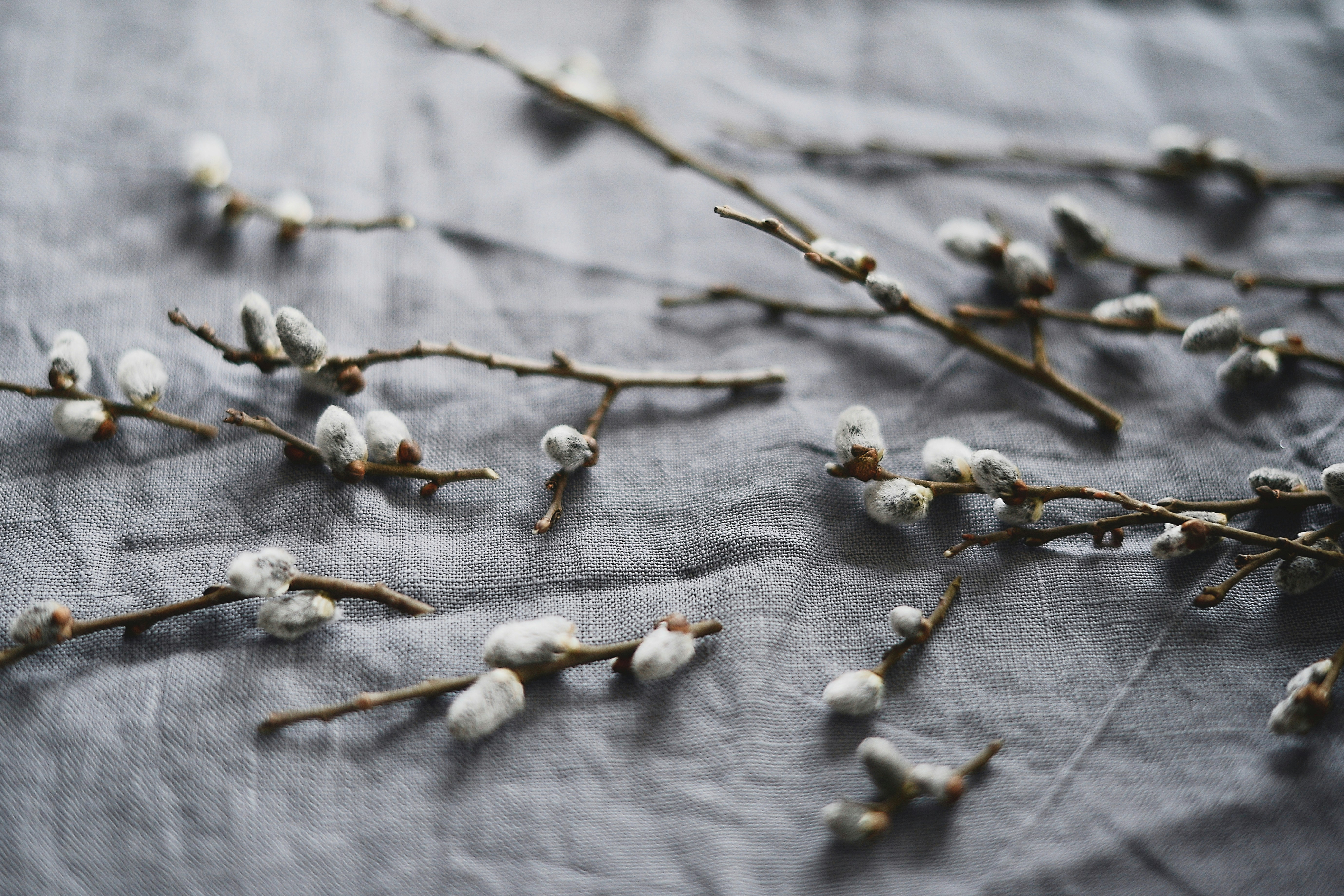 Photo by anitaaustvika