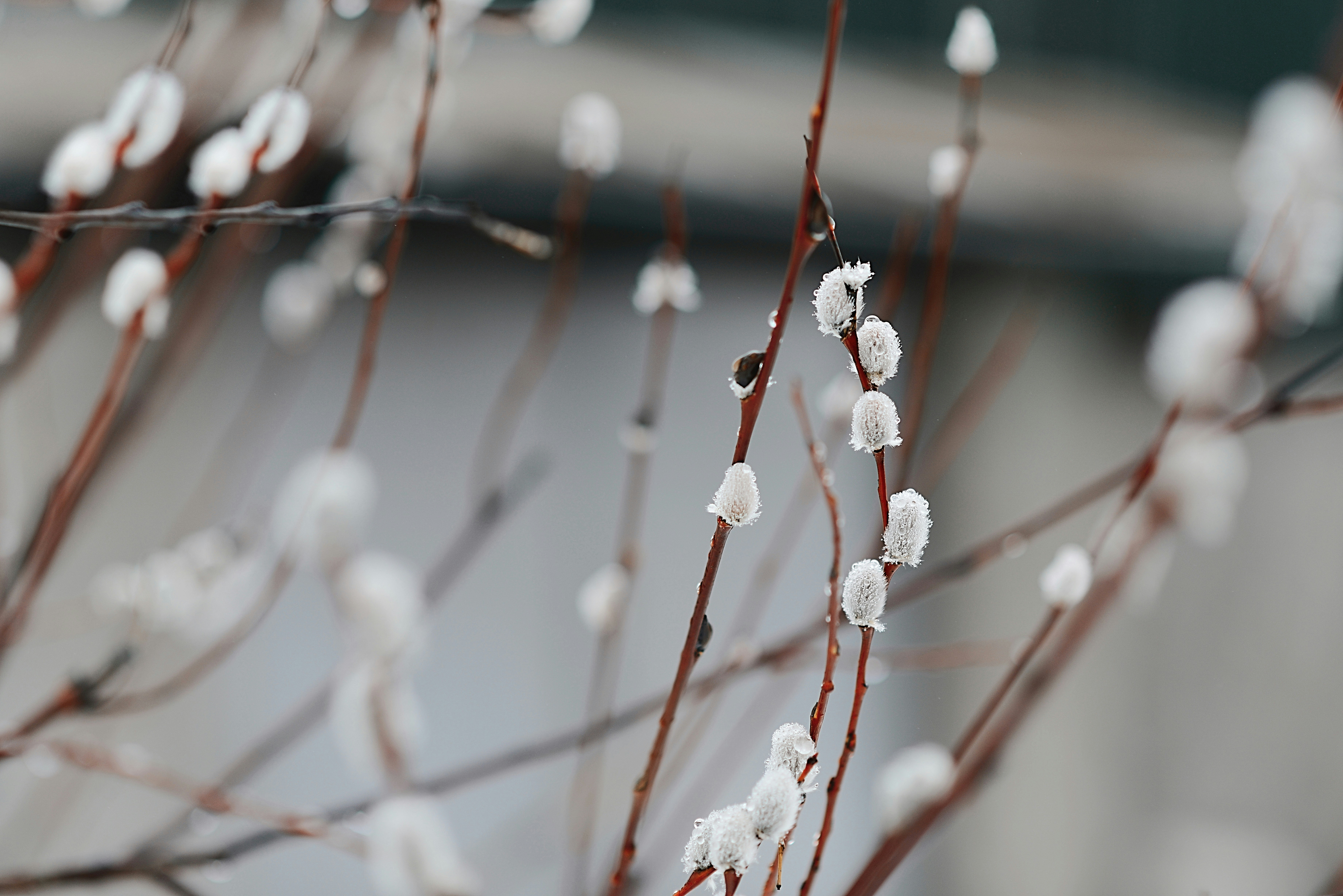 Photo by anitaaustvika