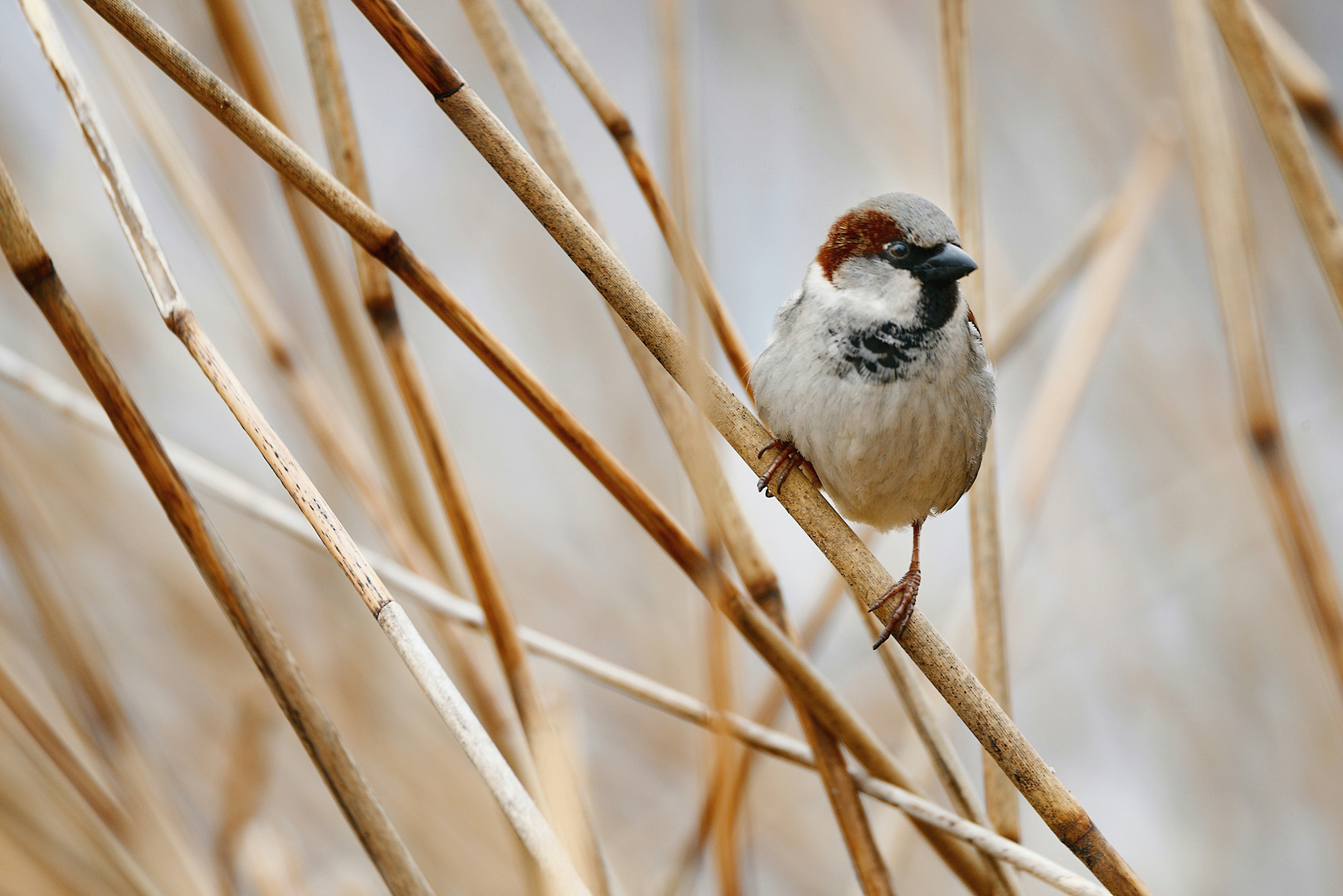 Photo by anitaaustvika