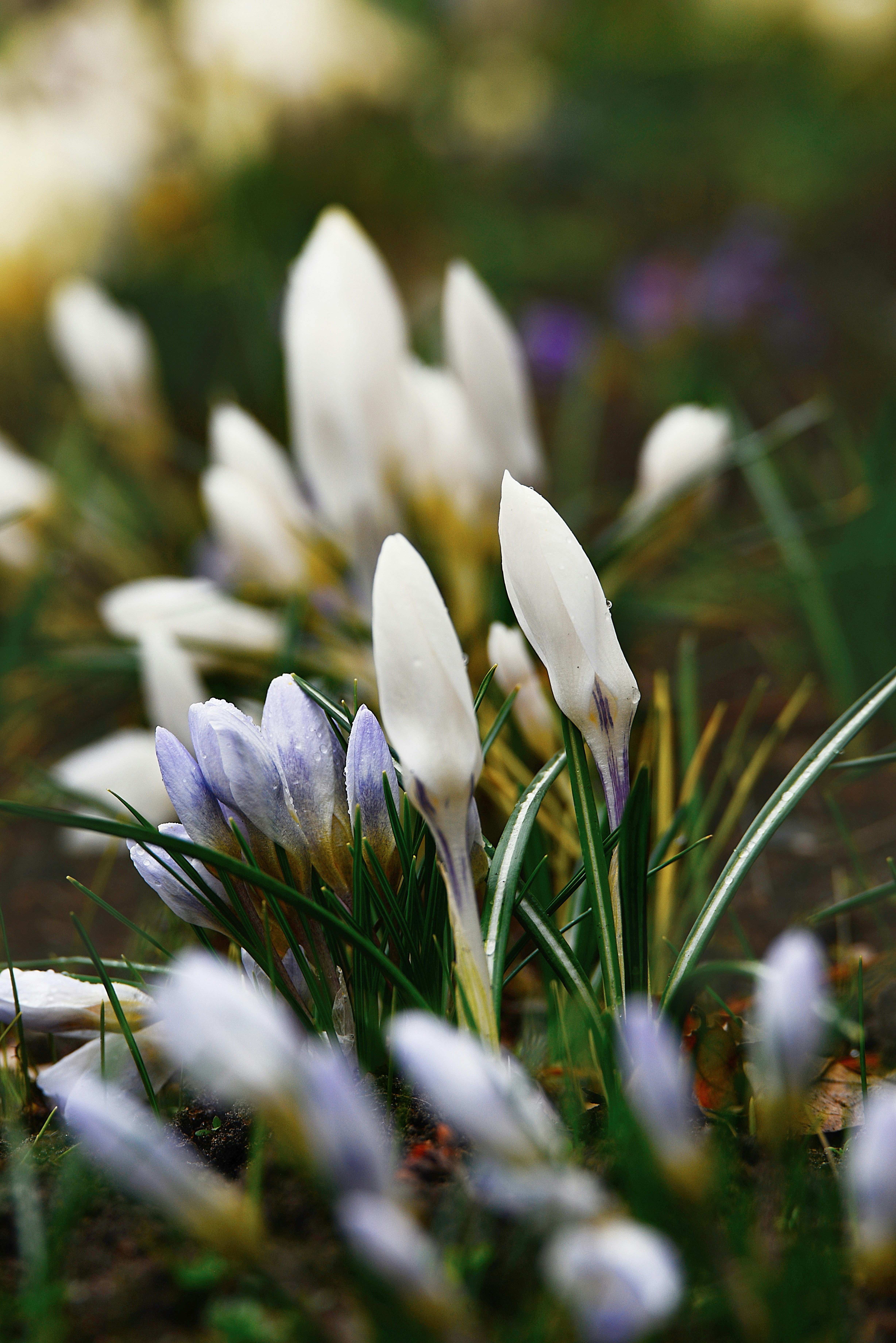Photo by anitaaustvika