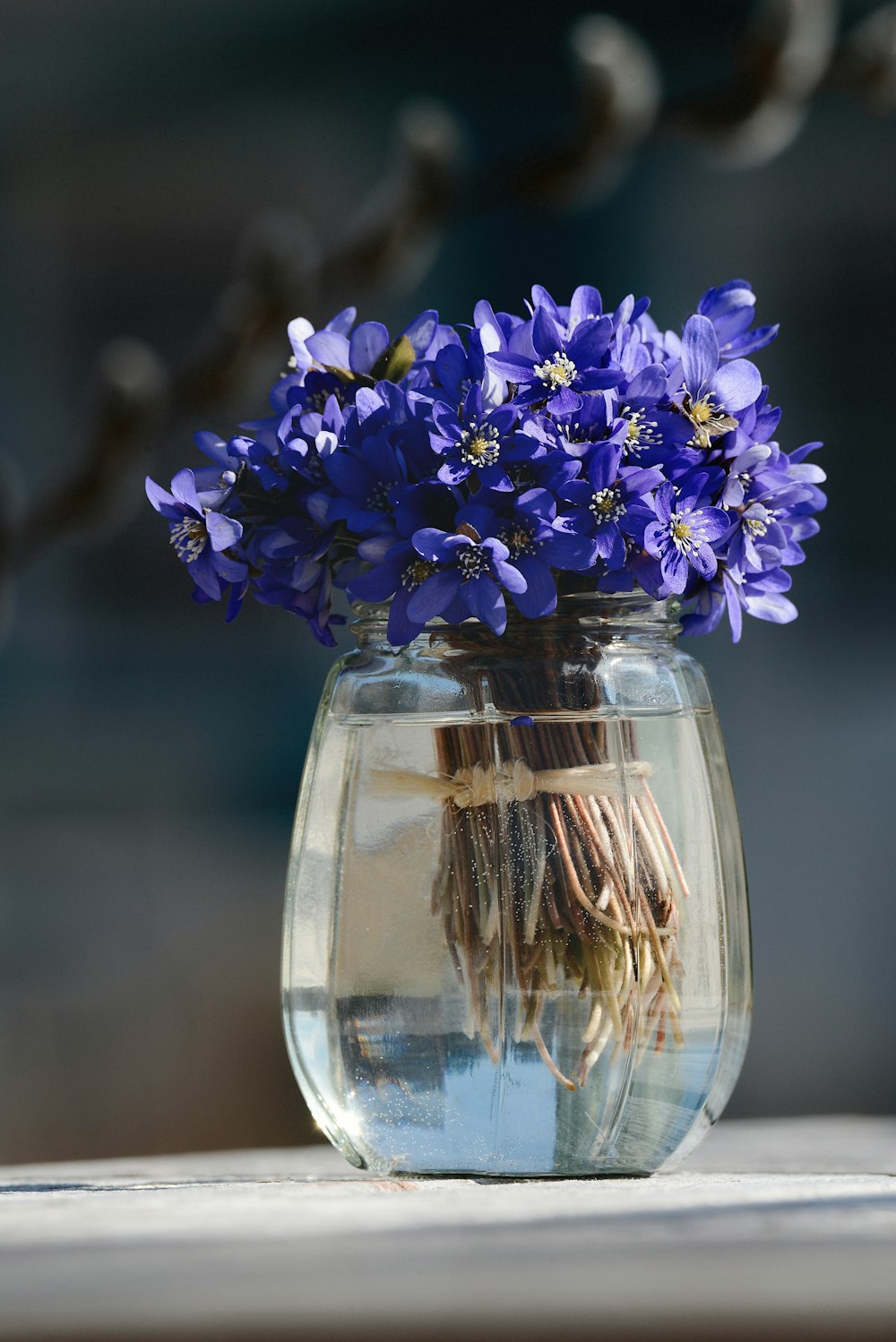 a vase filled with water and purple flowers