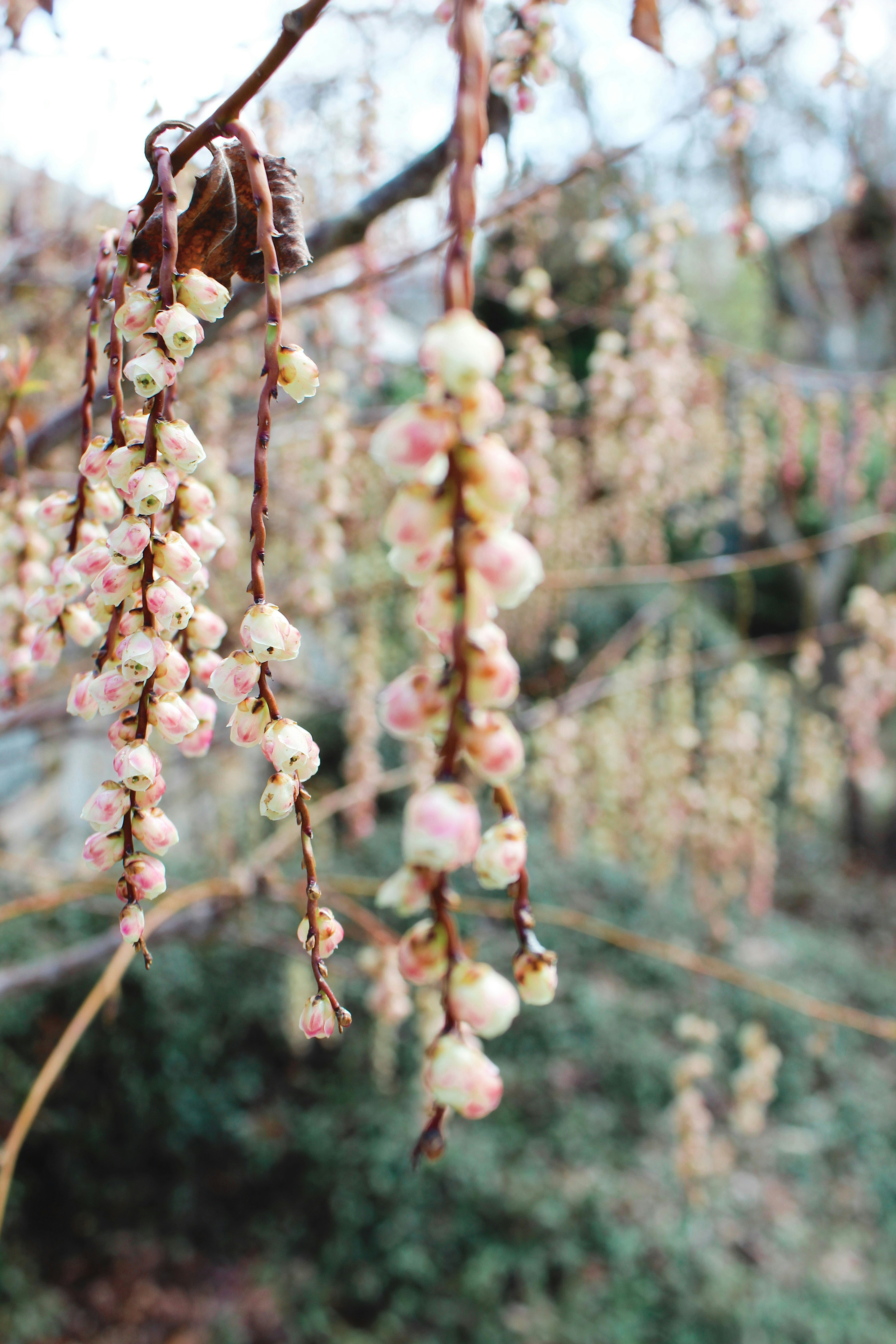 Photo by eubankchels