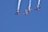 Four aerobatic airplanes fly closely together in an inverted formation, leaving white smoke trails against a clear blue sky. The planes display vibrant colors and branding on their wings.