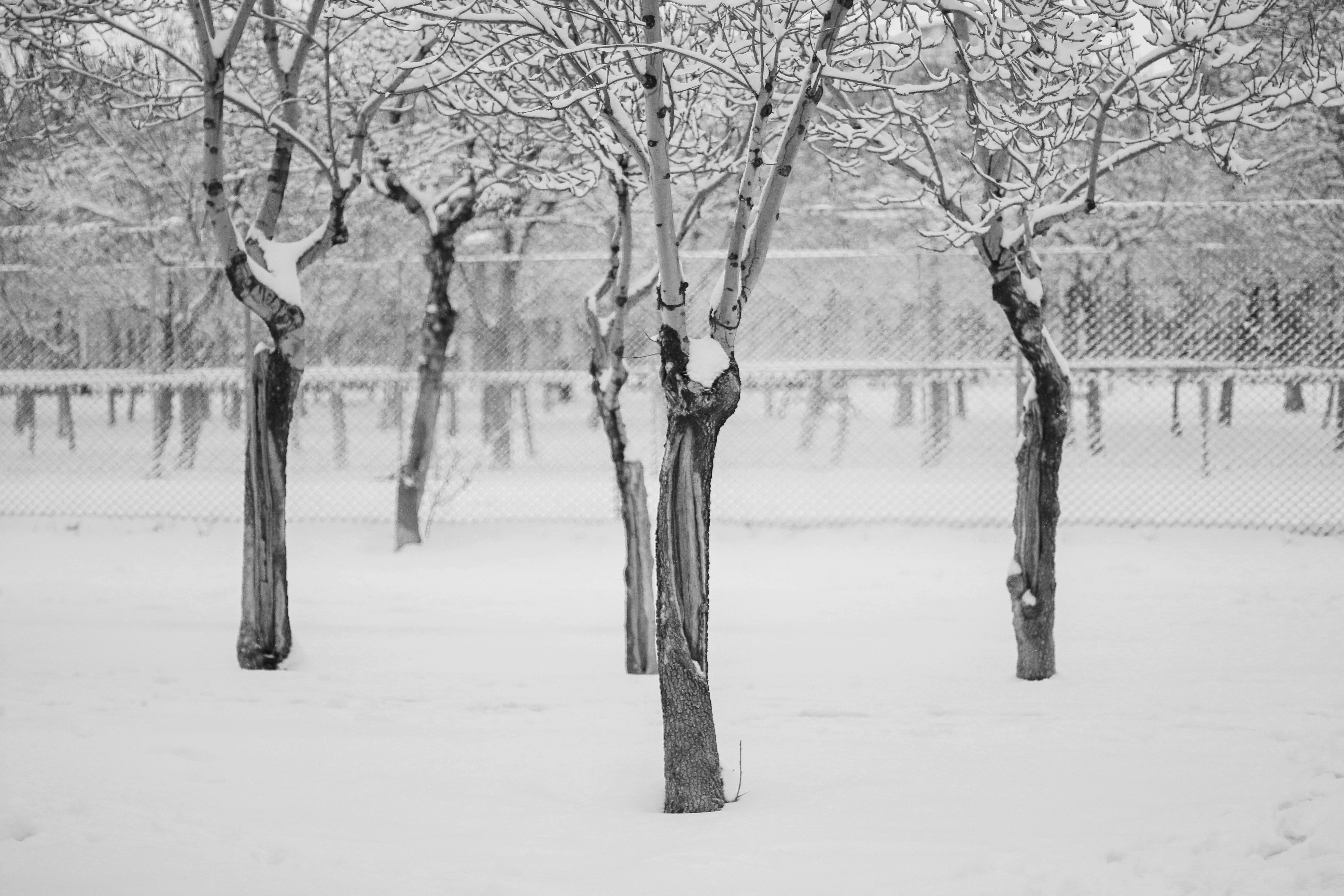 Photo by razipourjafari