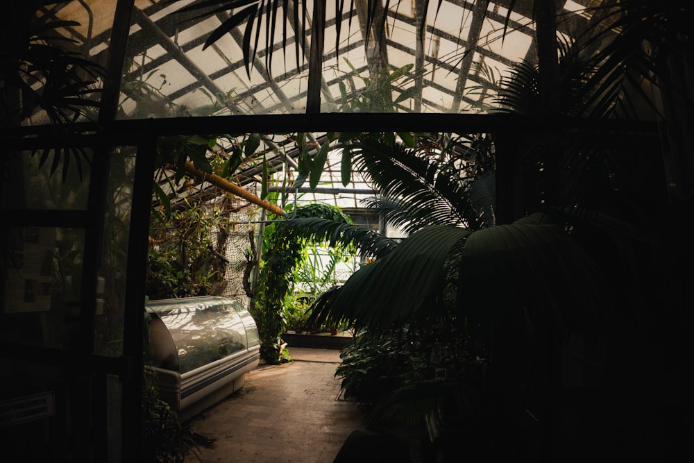 a greenhouse with a bench in the middle of it