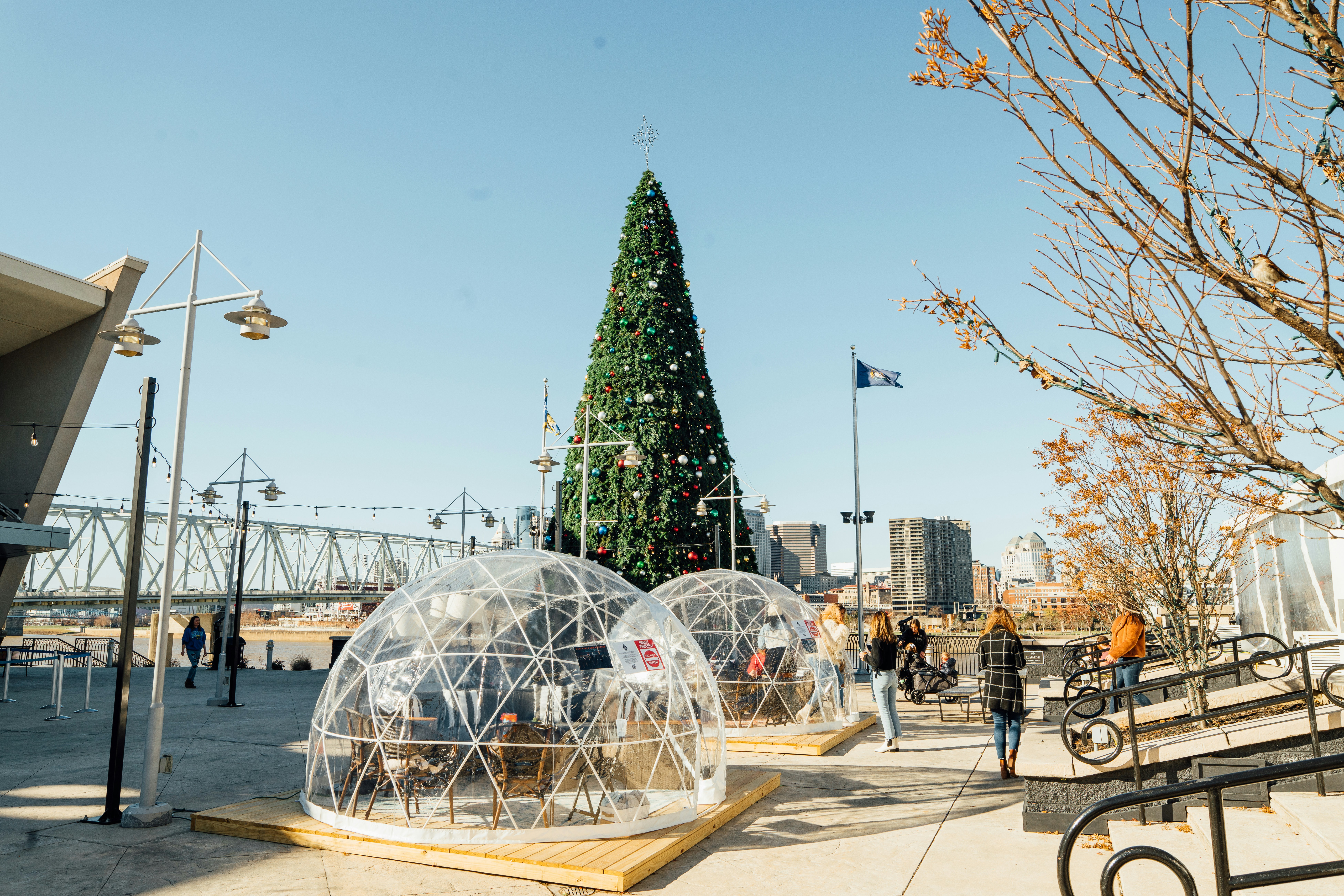 a large christmas tree is in the middle of a park