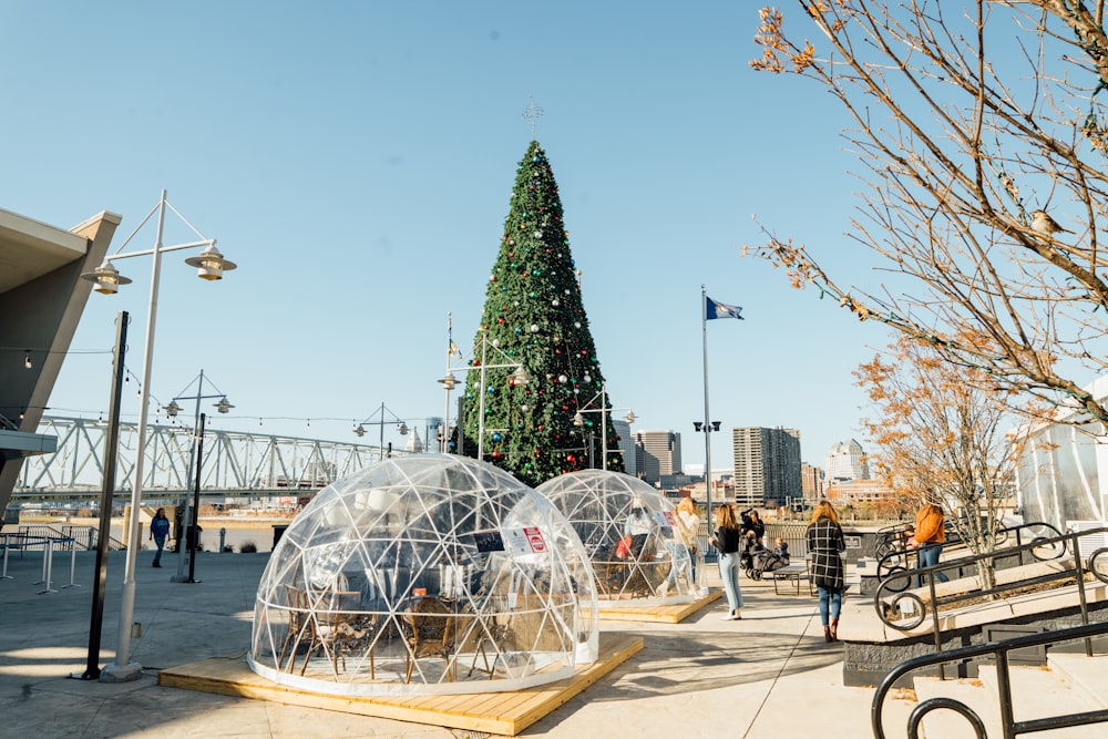 a large christmas tree is in the middle of a park