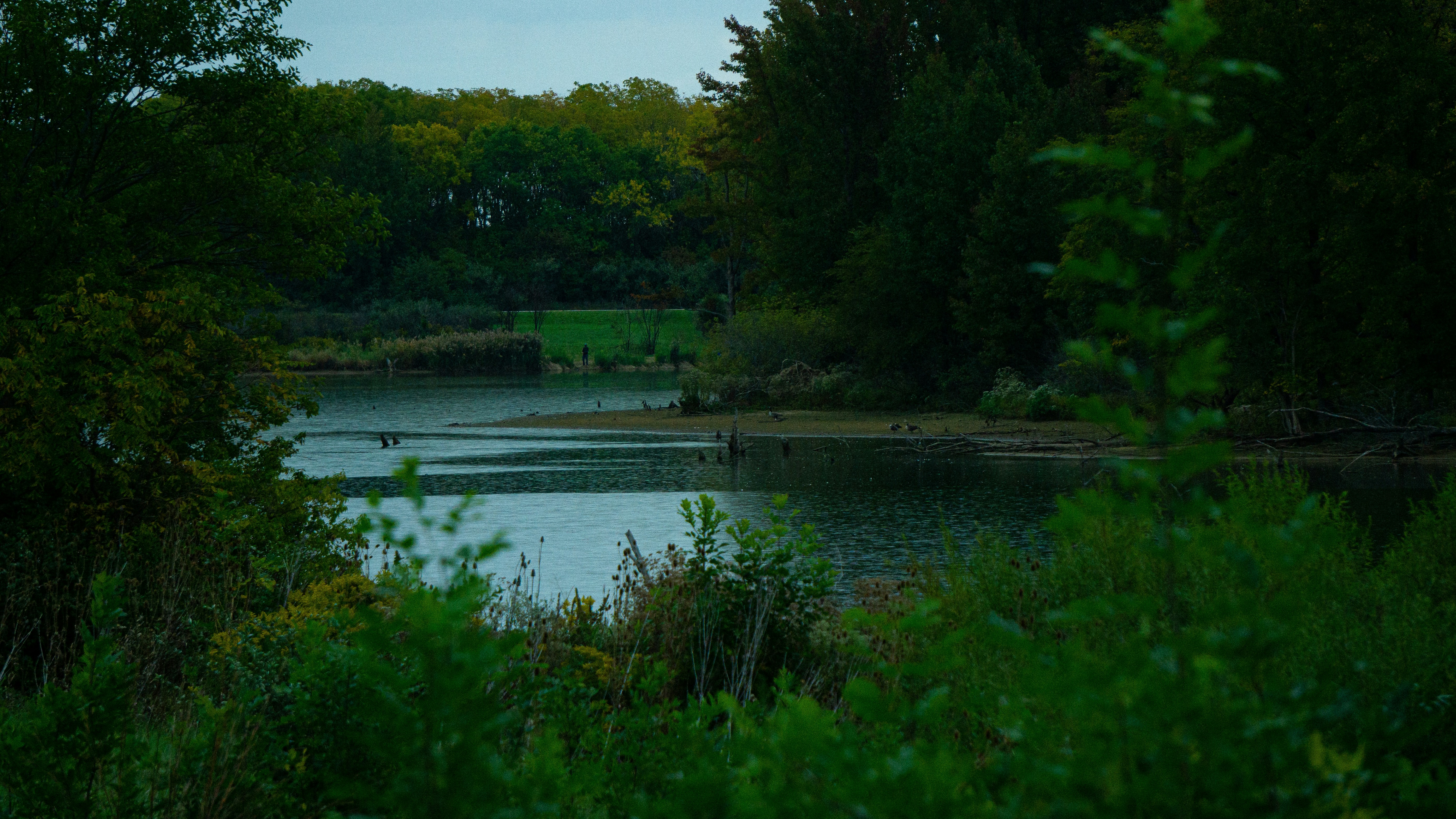 Jack Reed Park