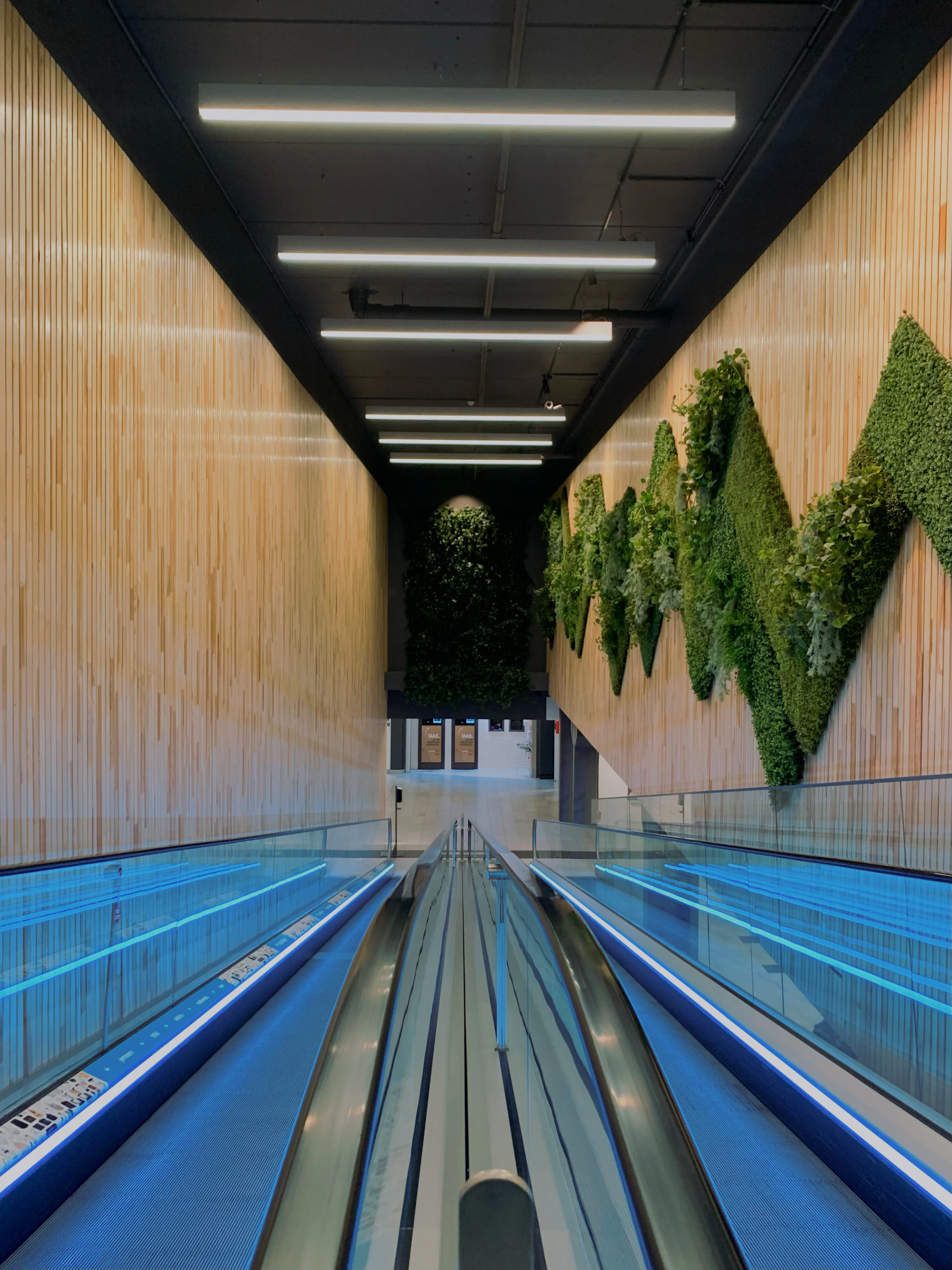 Pistes éclairées dans un bowling moderne