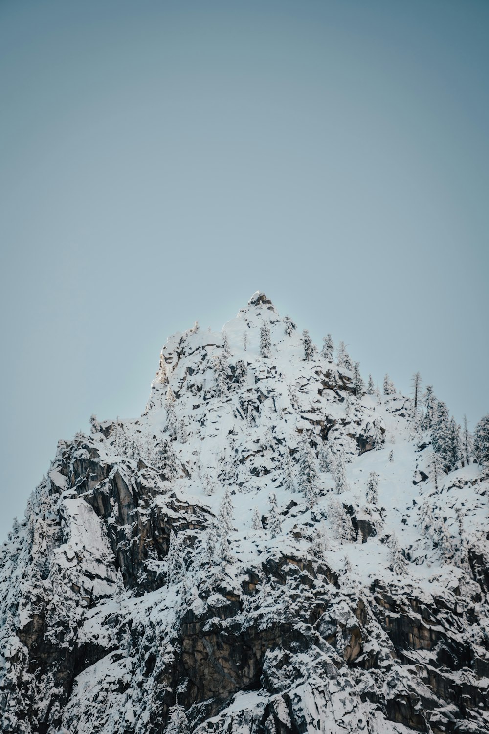 a mountain covered in snow with trees on top