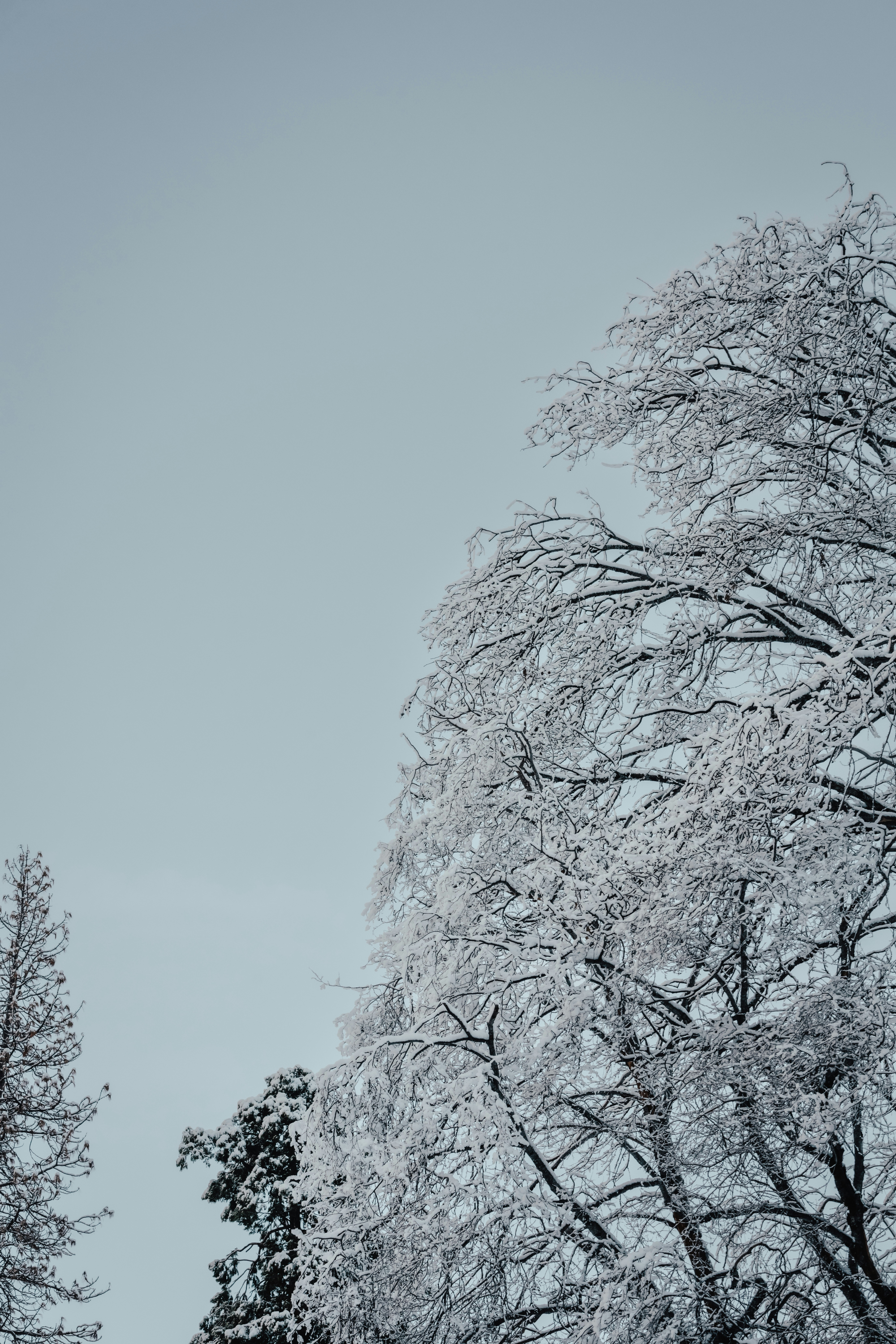 Photo by benkarpinski