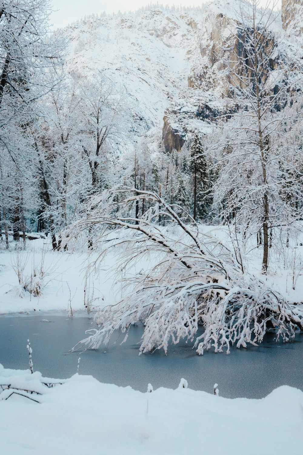a small pond surrounded by snow covered trees