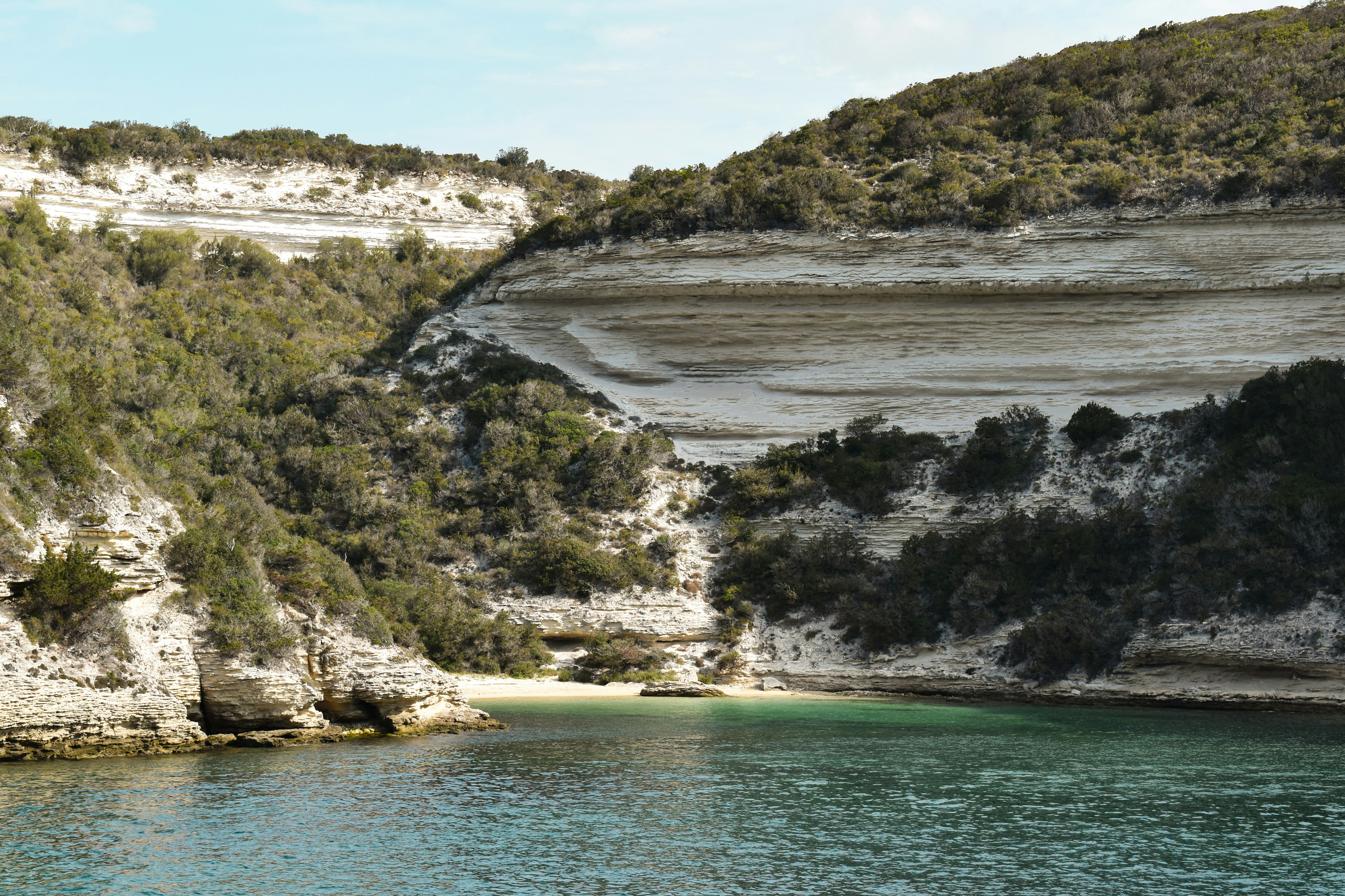 a body of water surrounded by trees and cliffs