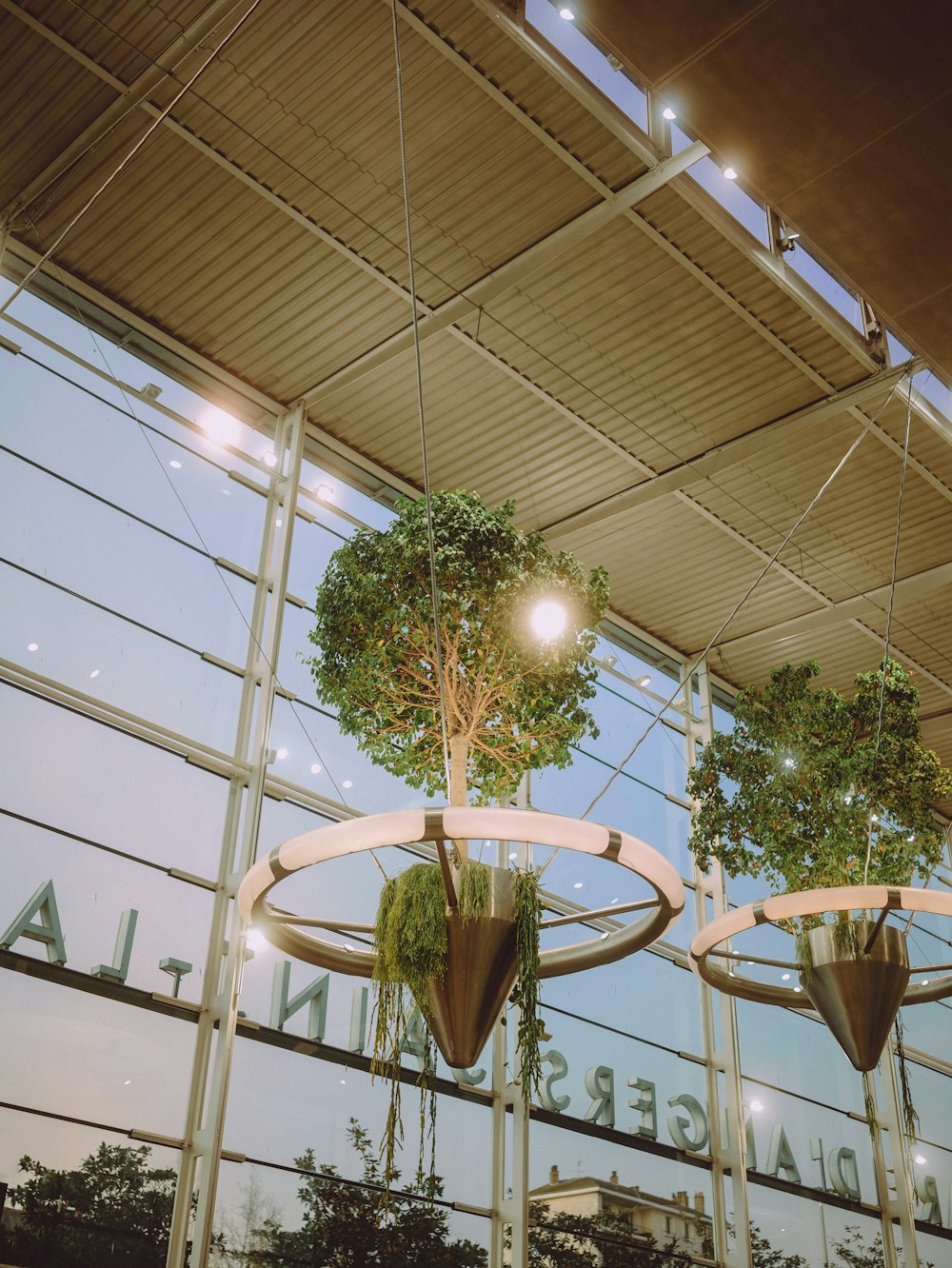 a planter hanging from the ceiling of a building