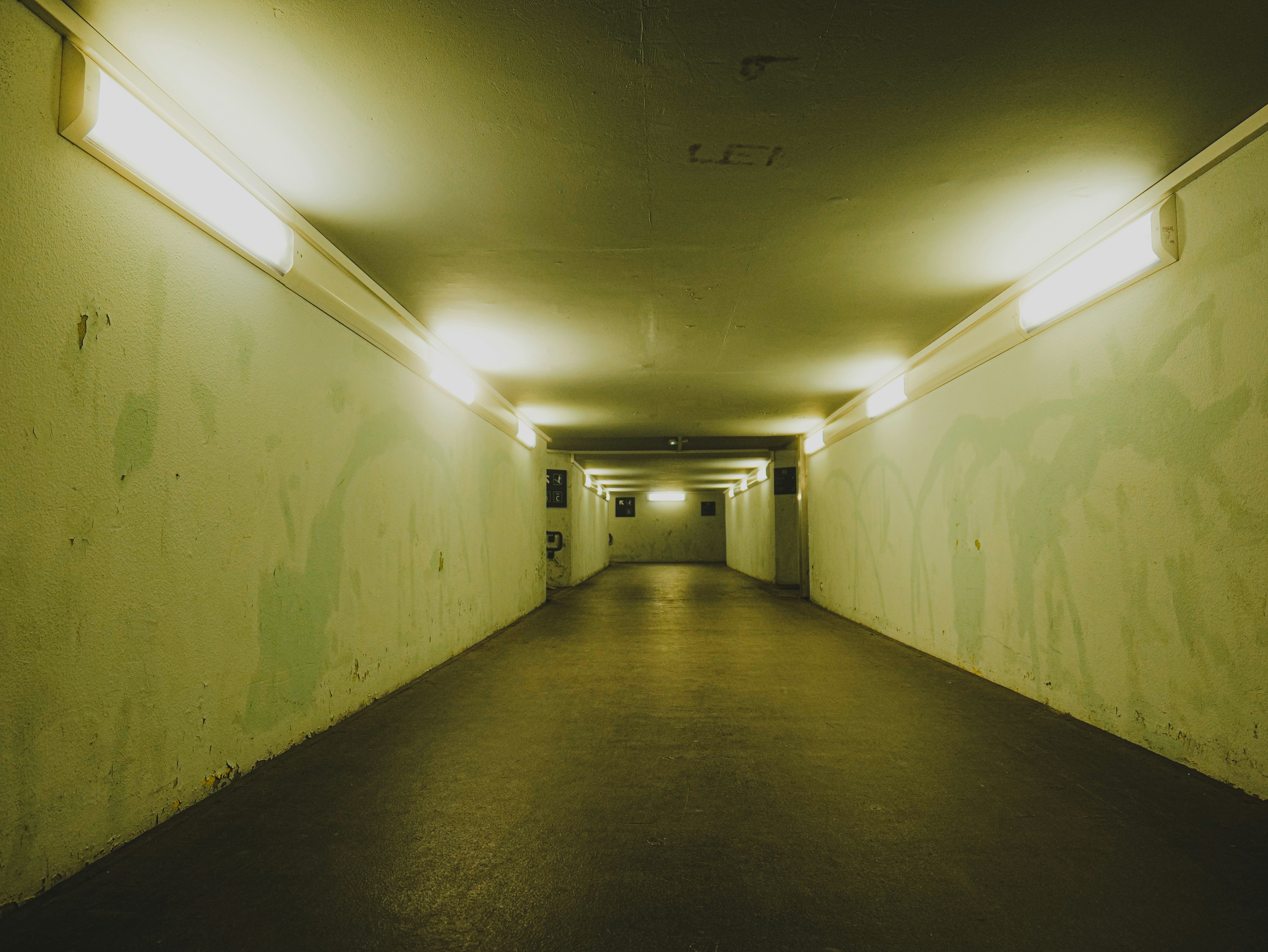 Photo by elmartinbaron