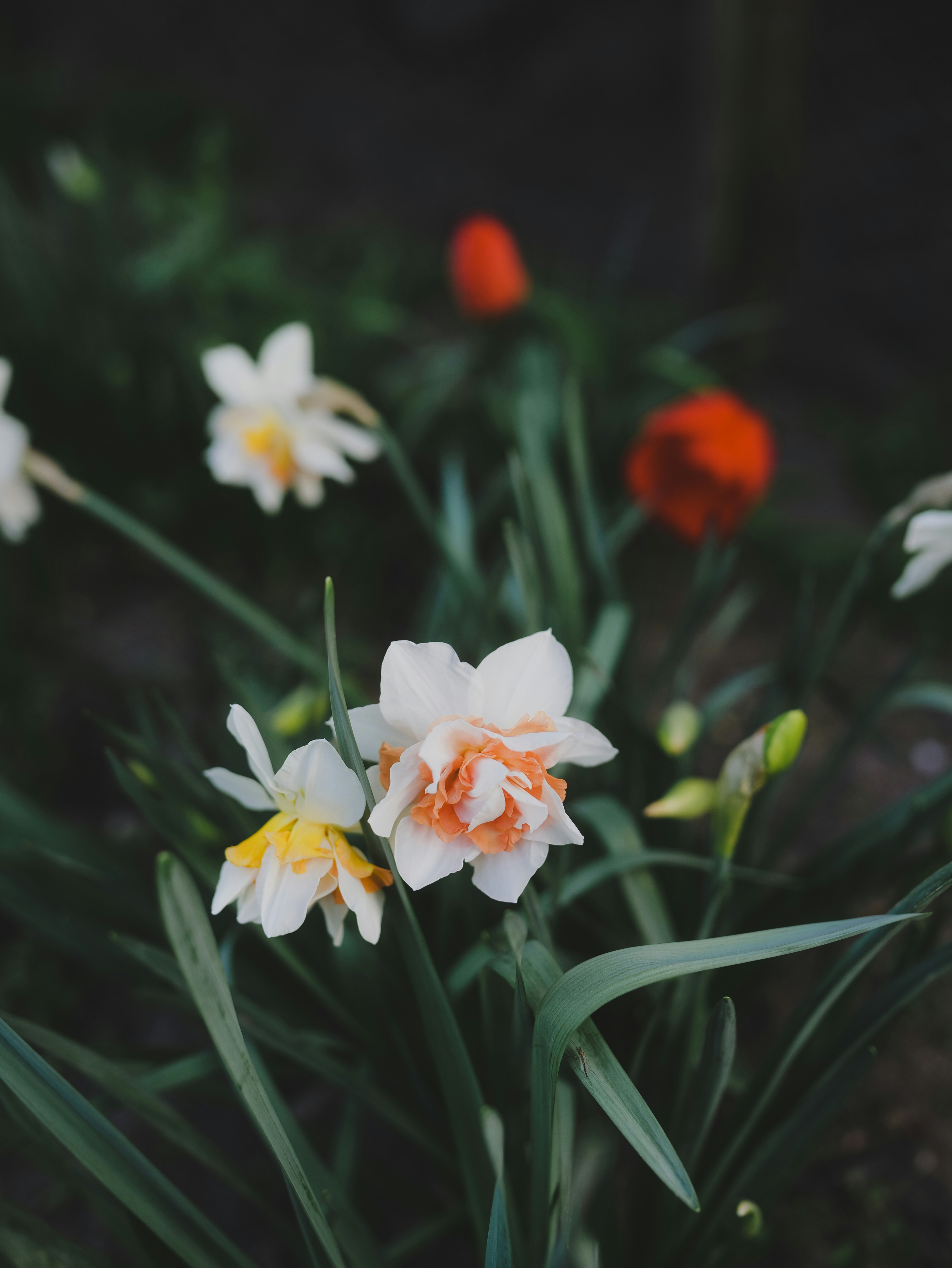 Photo by elmartinbaron