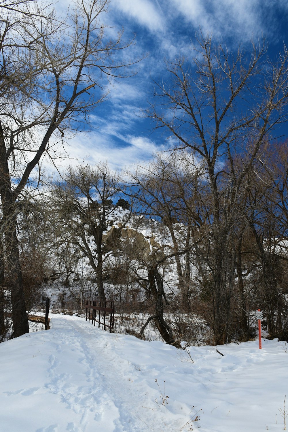 Un camino cubierto de nieve en una zona boscosa