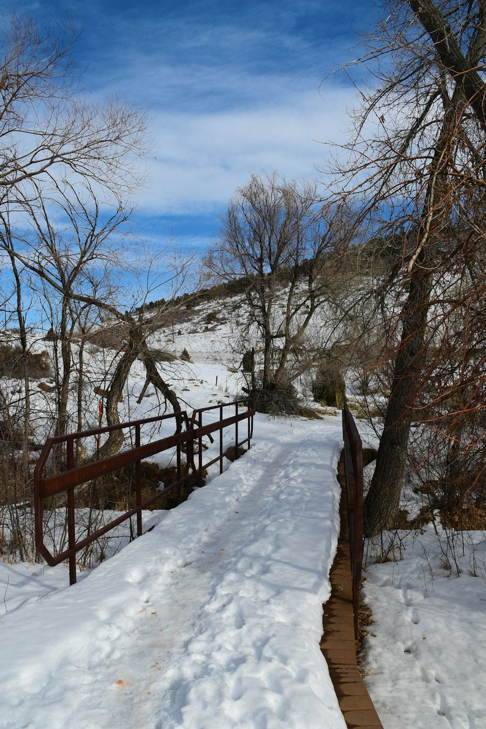 Un camino cubierto de nieve que conduce a una valla metálica