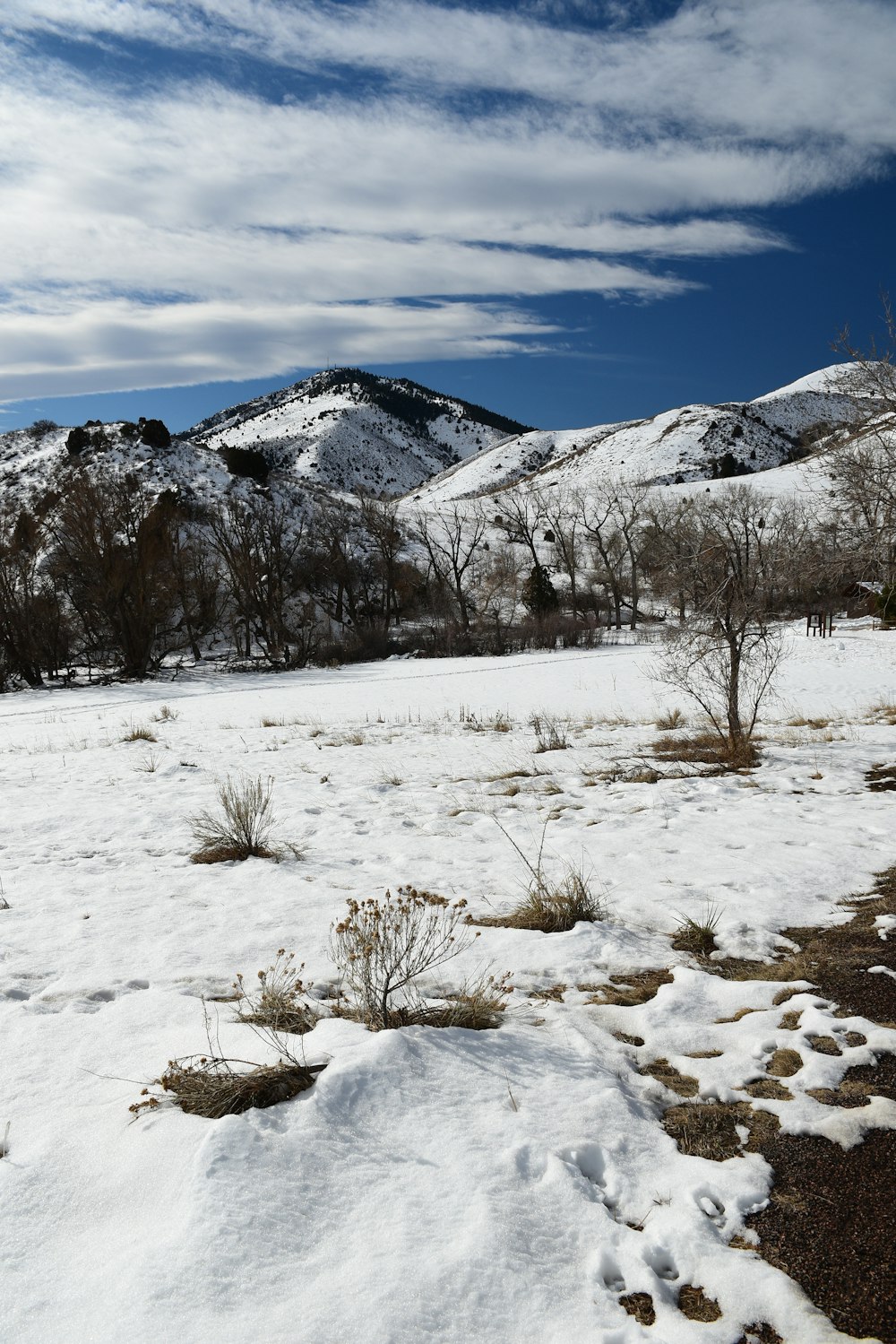 a snow covered field with mountains in the background