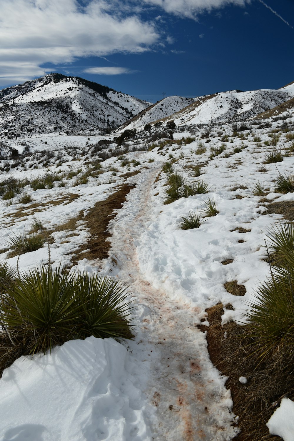 Un sendero en medio de un campo nevado