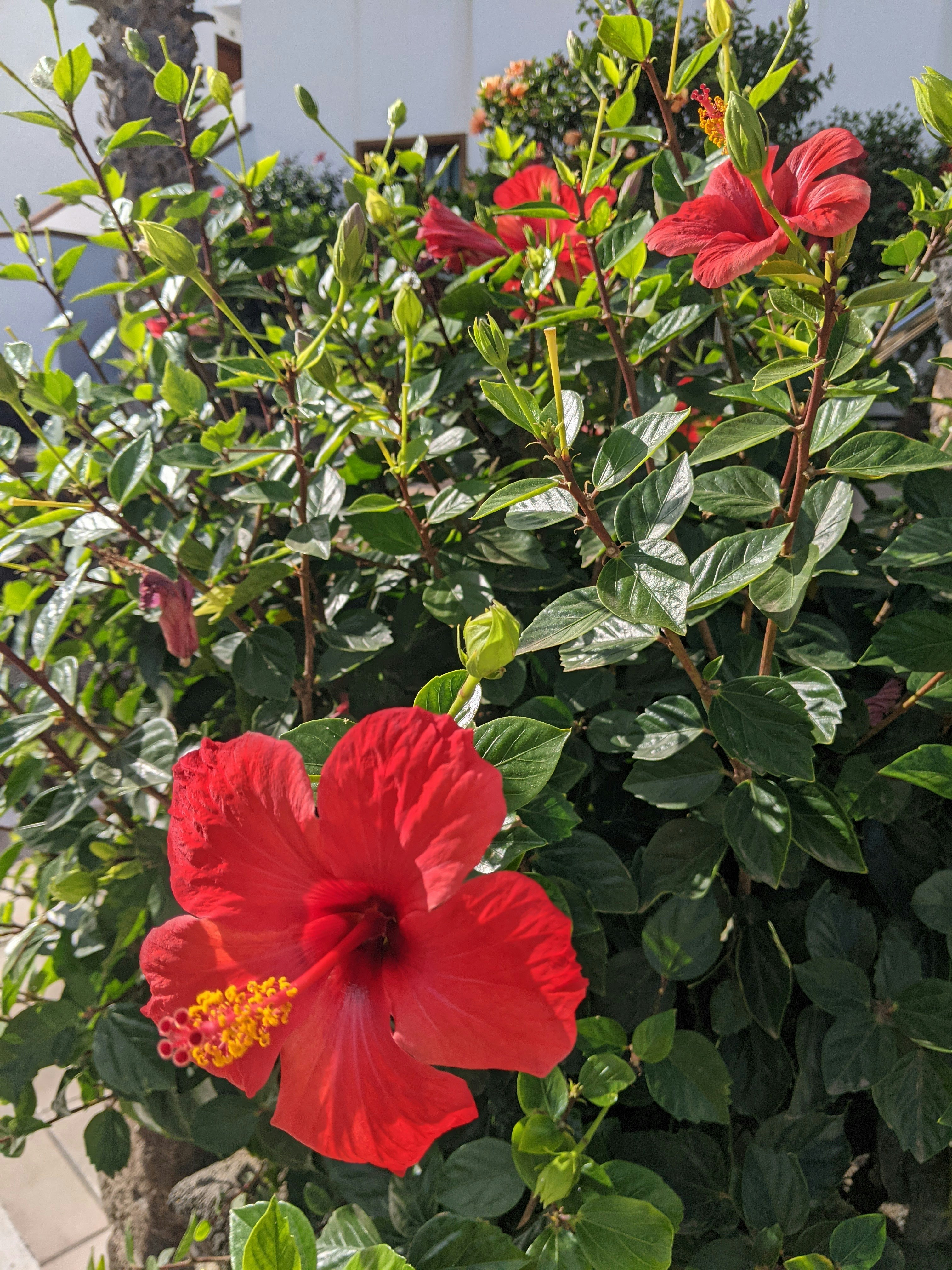 Photo by tima0987651996