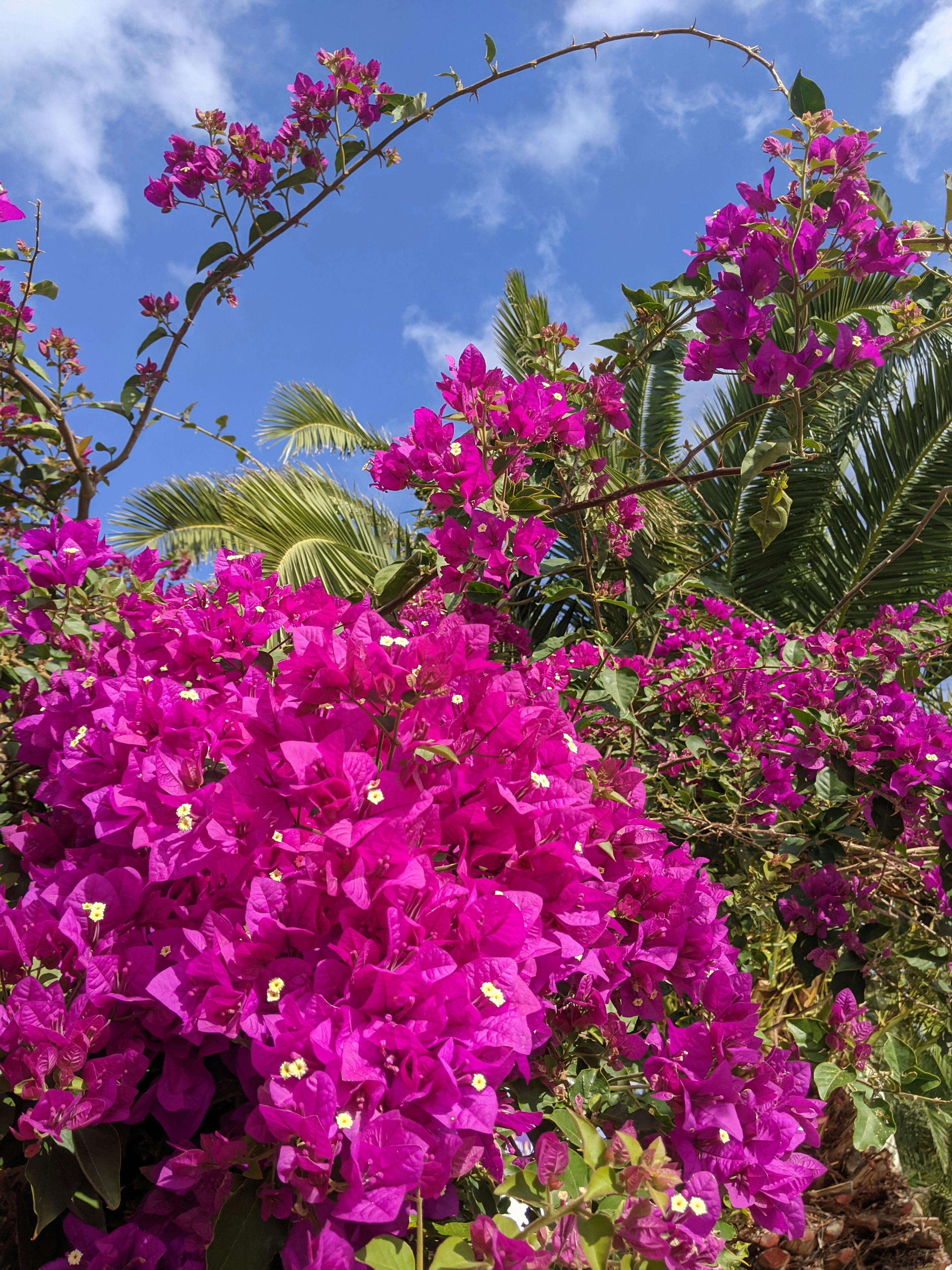 Photo by tima0987651996