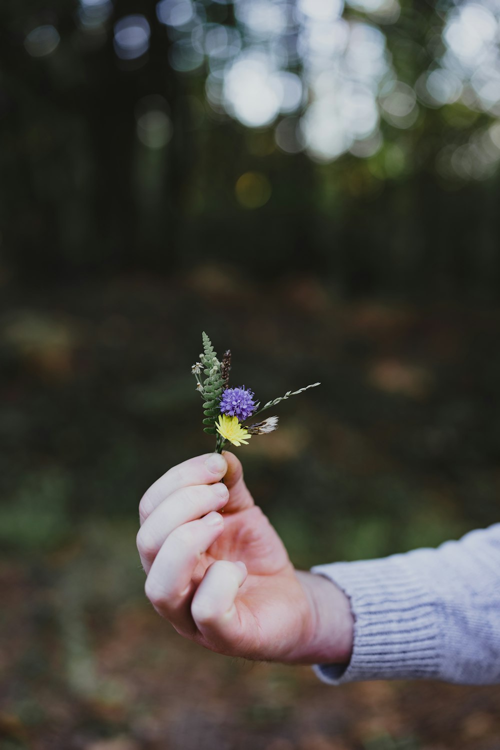 a person holding a flower in their hand