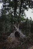A rugged survivalist setting up a tactical shelter in a dense, dark forest at dusk.