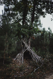 A serene forest clearing with a person setting up a rustic shelter using natural materials.