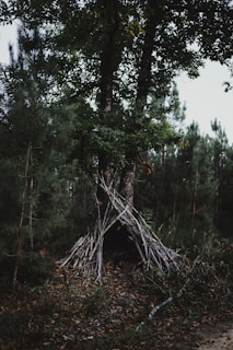A rugged survivalist setting up a makeshift shelter in a dense forest at dusk.