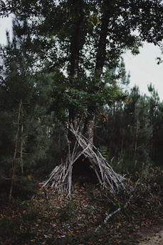 A rugged outdoor scene showing a minimalist shelter built from branches and tarps under a dense forest canopy.