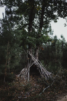 A rugged survivalist setting up a tactical shelter in a dense, dark forest at dusk.