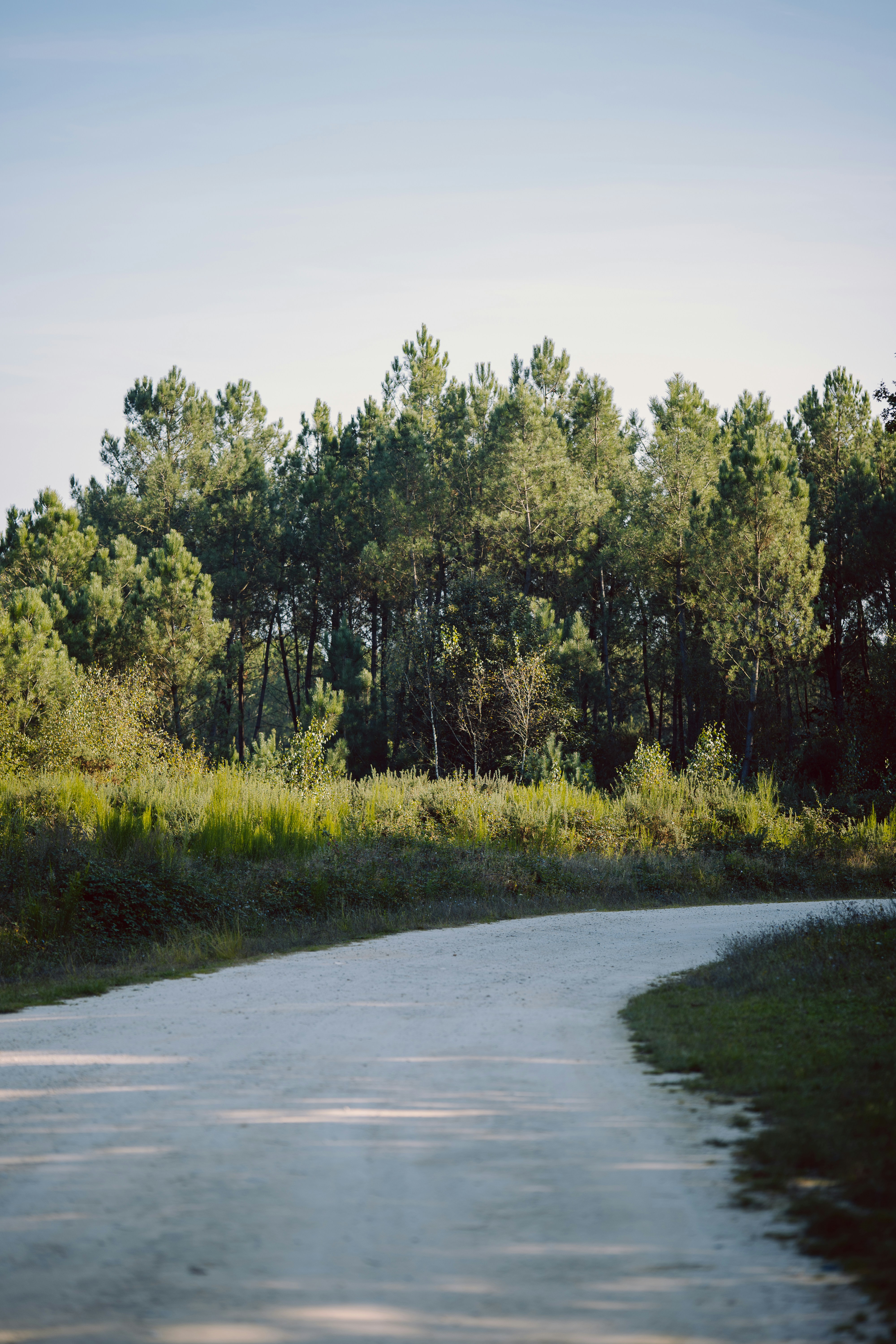 a road in the middle of a field with trees in the background