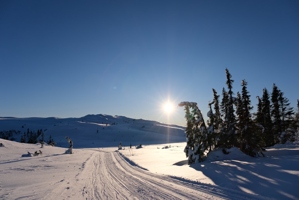 the sun shines brightly over a snowy landscape