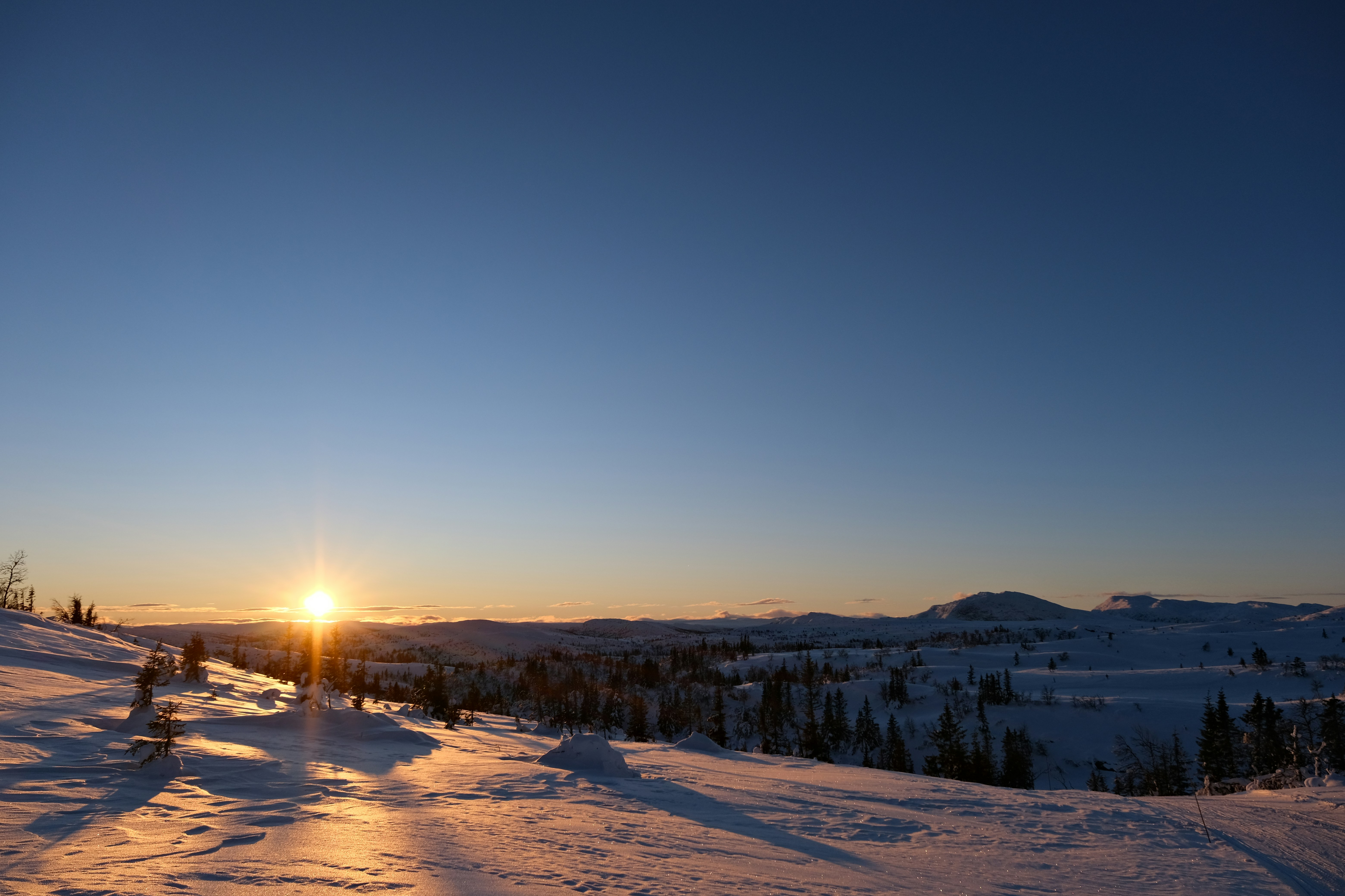 Photo by ingeborgkorme