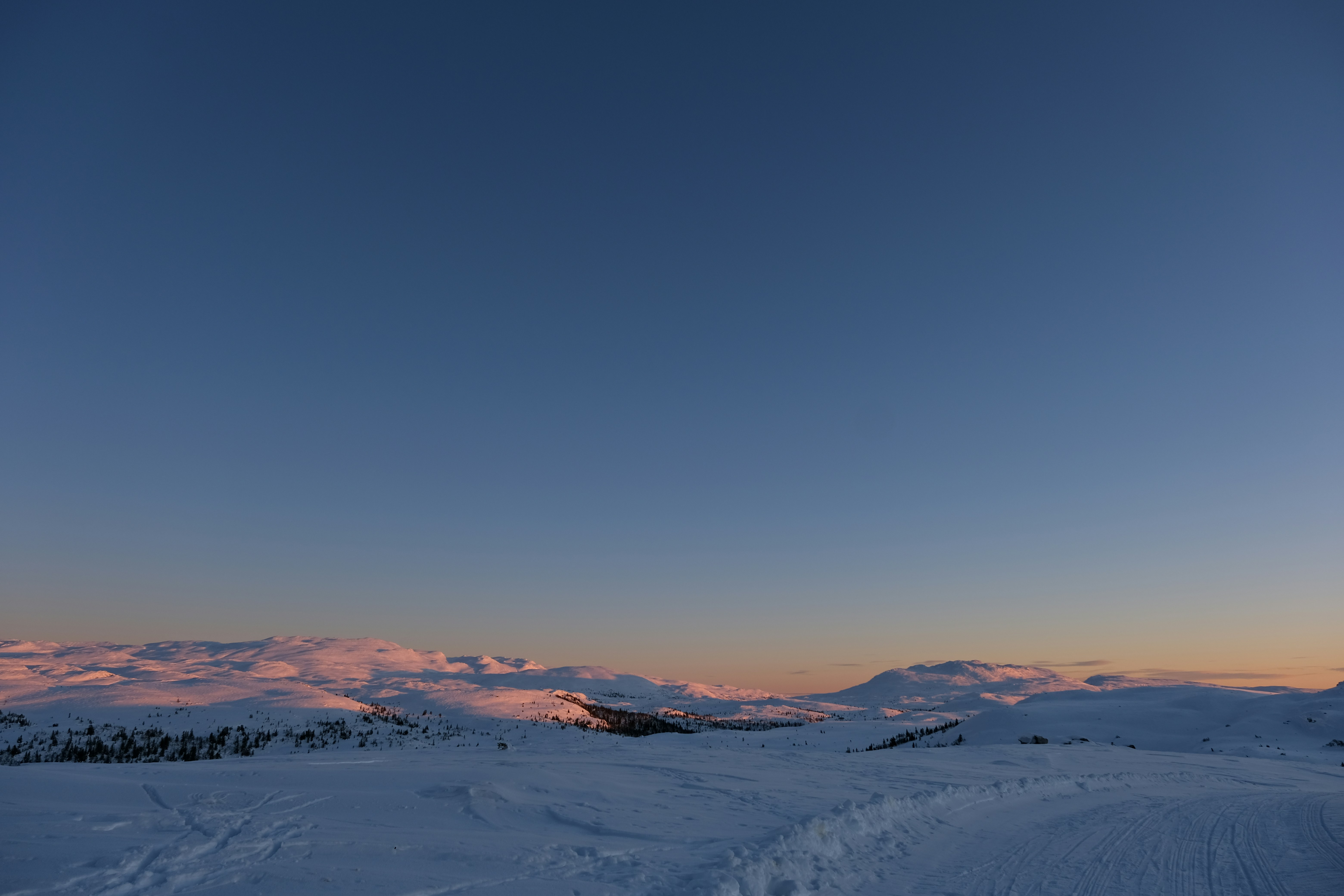 What I´ve Learned to Trust Before the Spreadsheet.