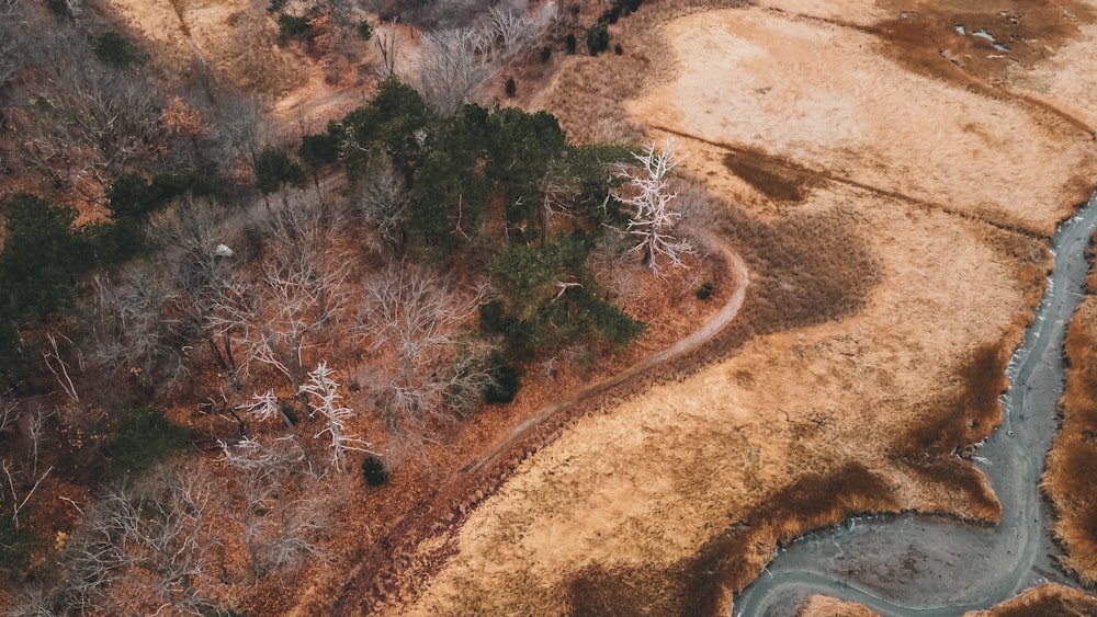 an aerial view of a river running through a dry grass field