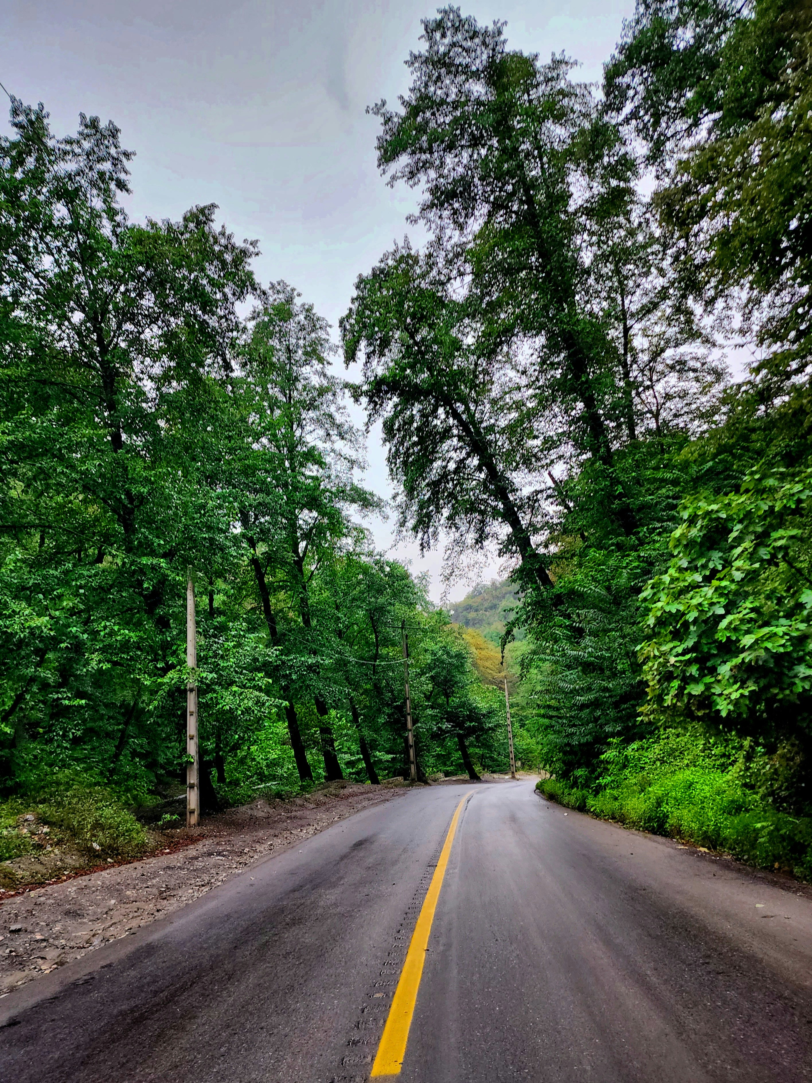 Photo by alirezaalikhani35