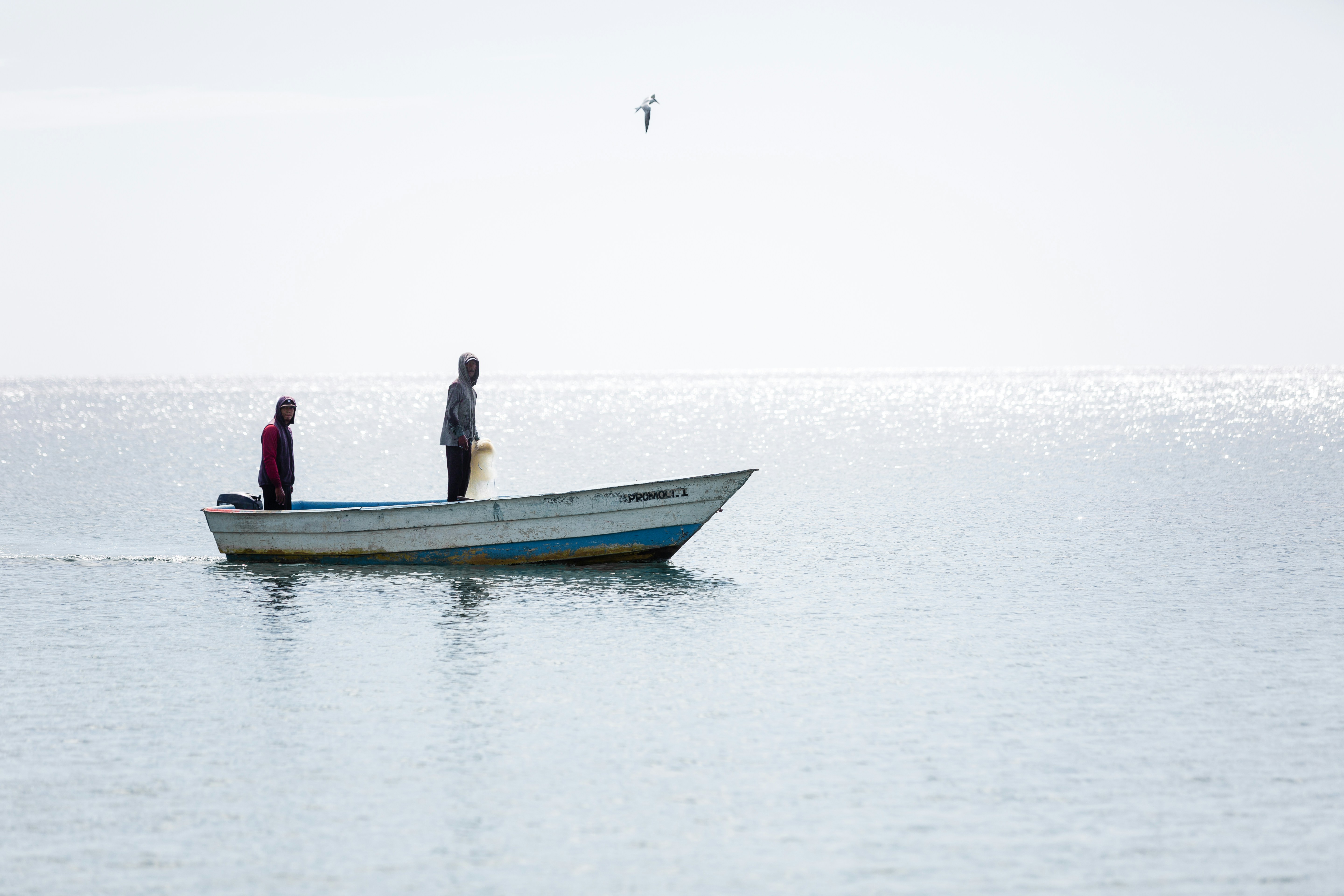 Photo by mcalejandro_23