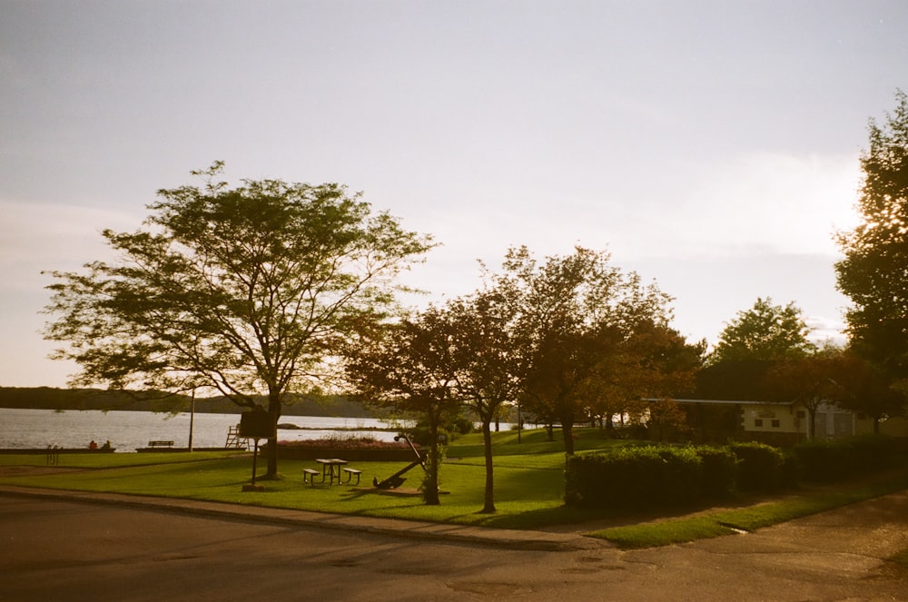 Ein Park mit einem See im Hintergrund