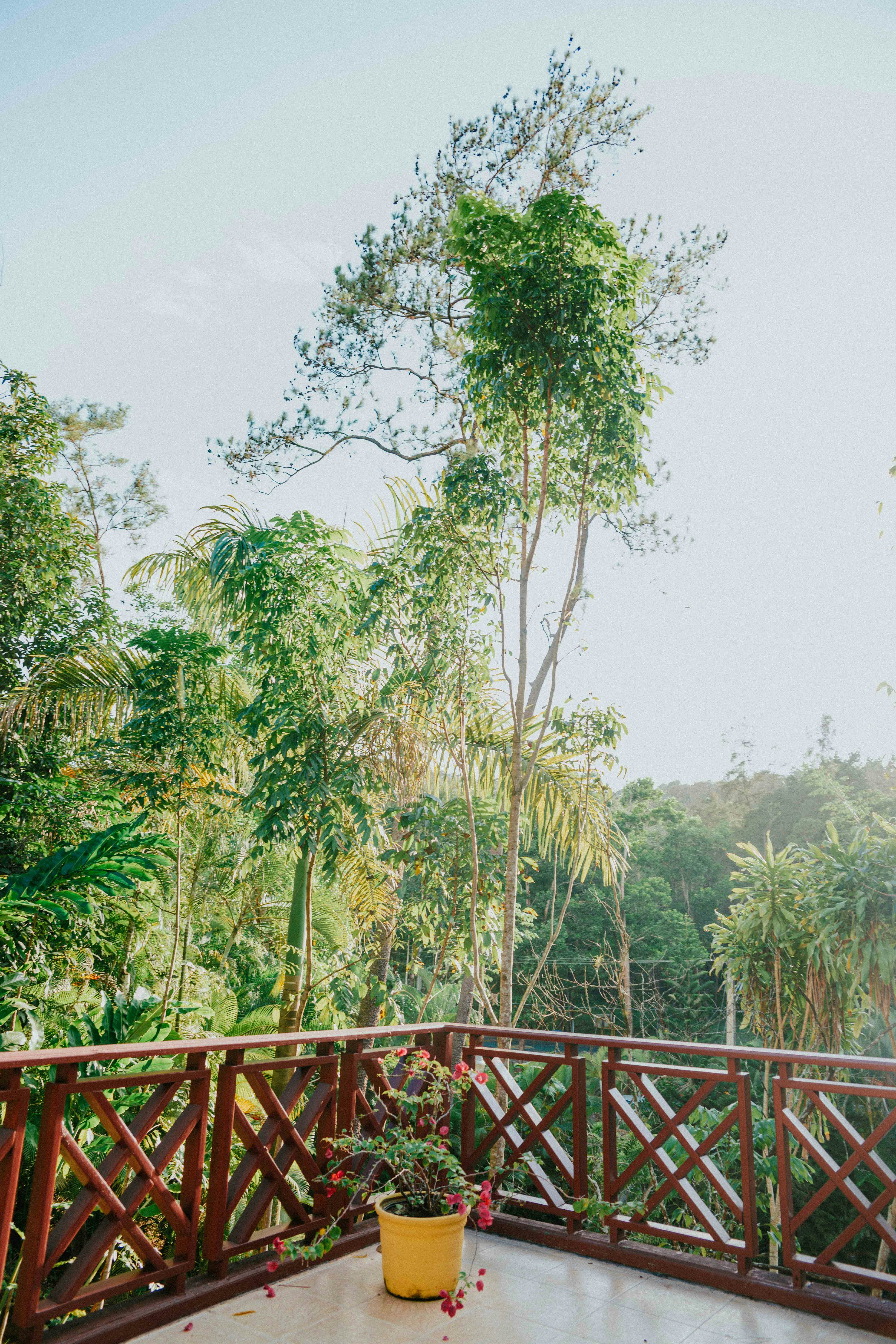 Photo by ruddycorporanx