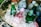 A brass container filled with several bottled beverages nestled in a bed of ice. The drinks include green glass bottles labeled Perrier and a pink Fentimans Rose Lemonade bottle, along with various plastic water bottles. The arrangement suggests a cool and refreshing setup for a picnic or outdoor event.