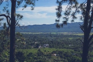 A scenic landscape showcasing open fields and trees.